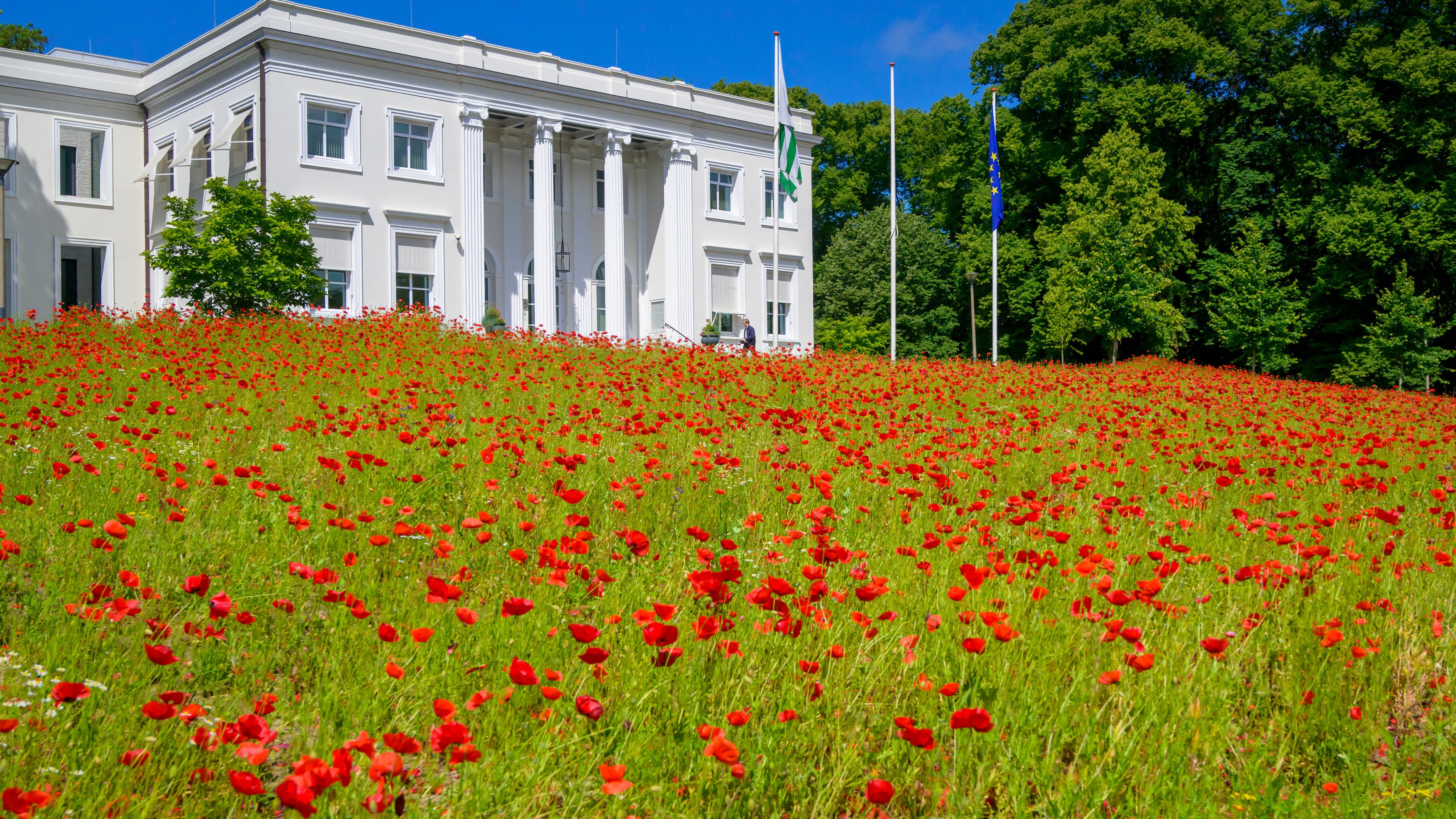 PRO sidelined in Bloemendaal for now: ’We want a stable core coalition’