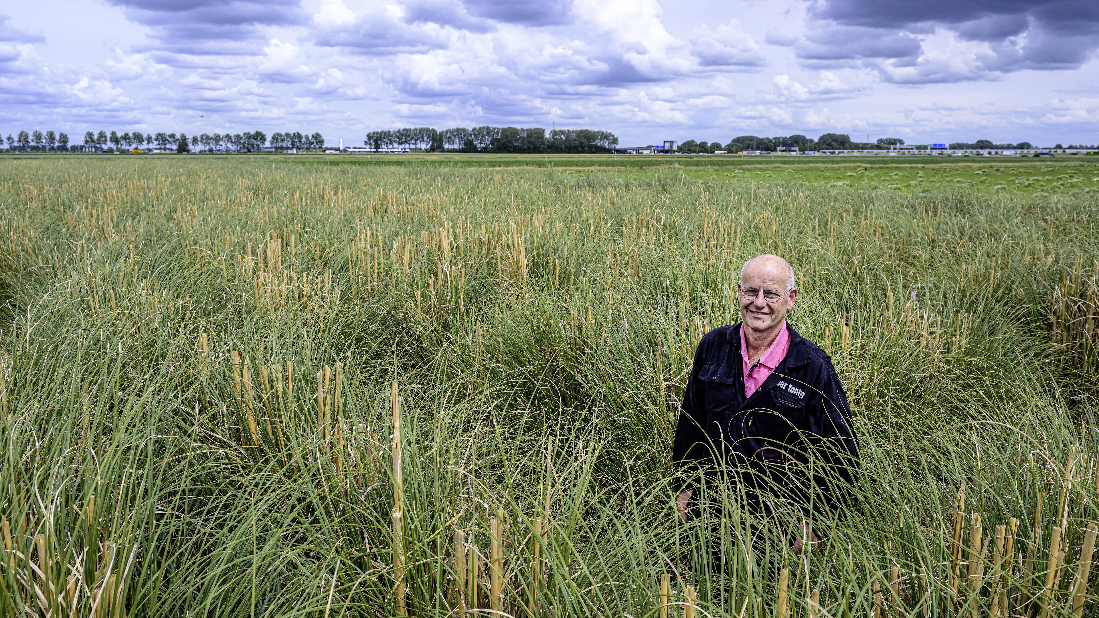 Farmer Ton welcomes families to Europe's only pampas grass maze: ‘You can make a wonderful afternoon of it’