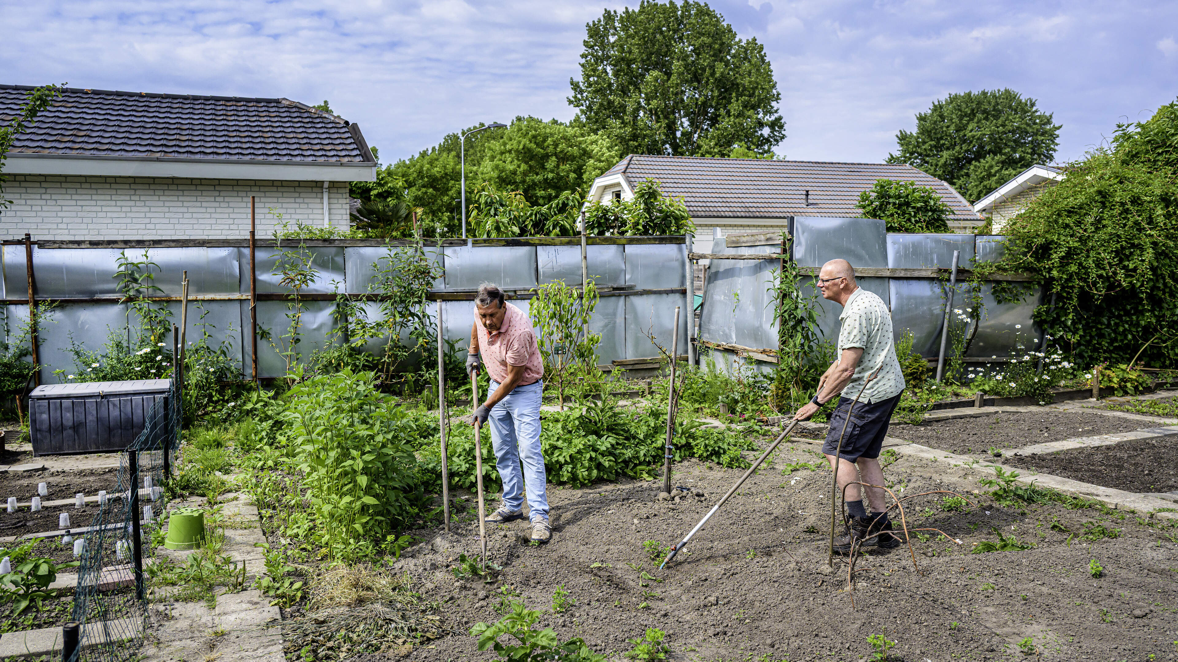 Hoofddorp allotment association fears downsizing as municipality seeks space for traveler site expansion: ‘Why specifically here?’