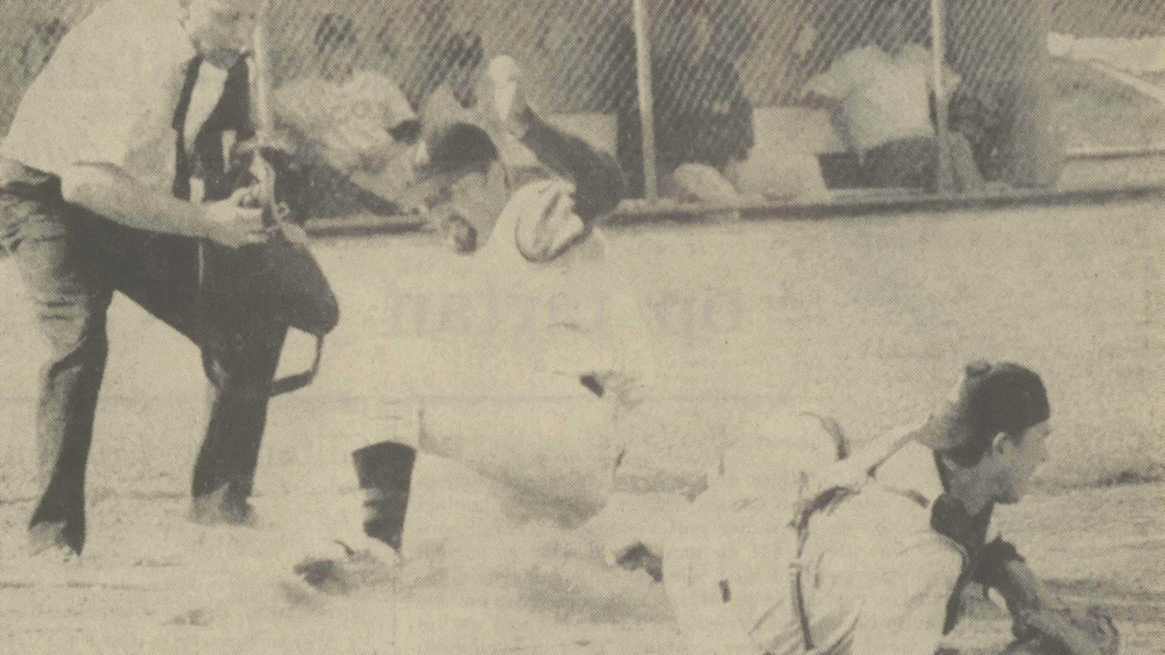 Disappeared: successful baseball club Haarlem Nicols had a significant debt