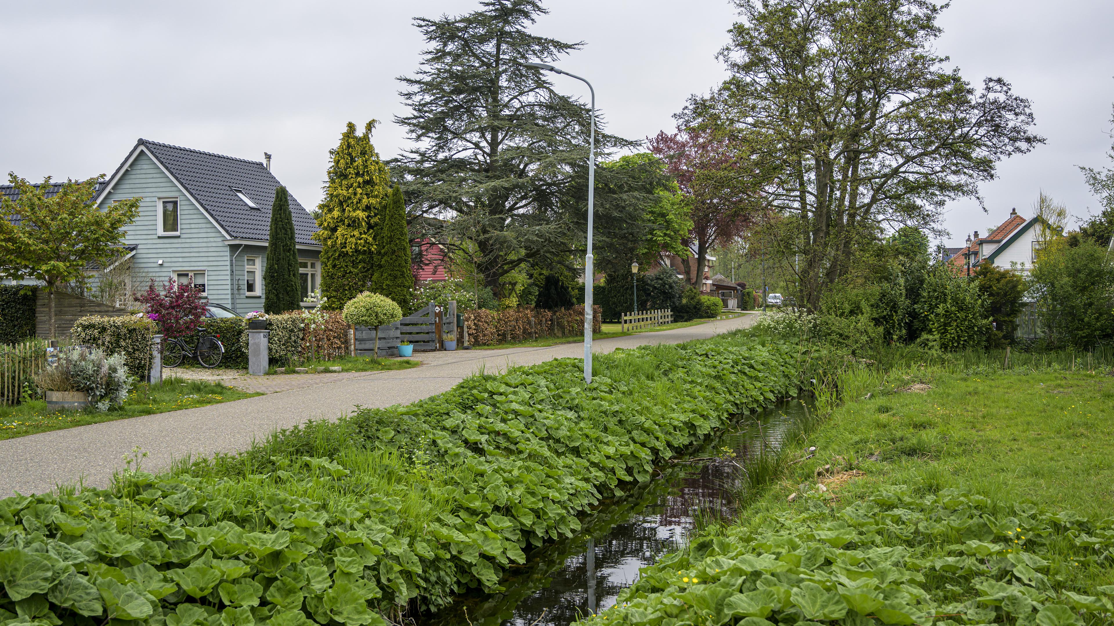 De verrassende schoonheid van Zwaanshoek, al schiet het nog niet erg op met het lusthof in opleiding