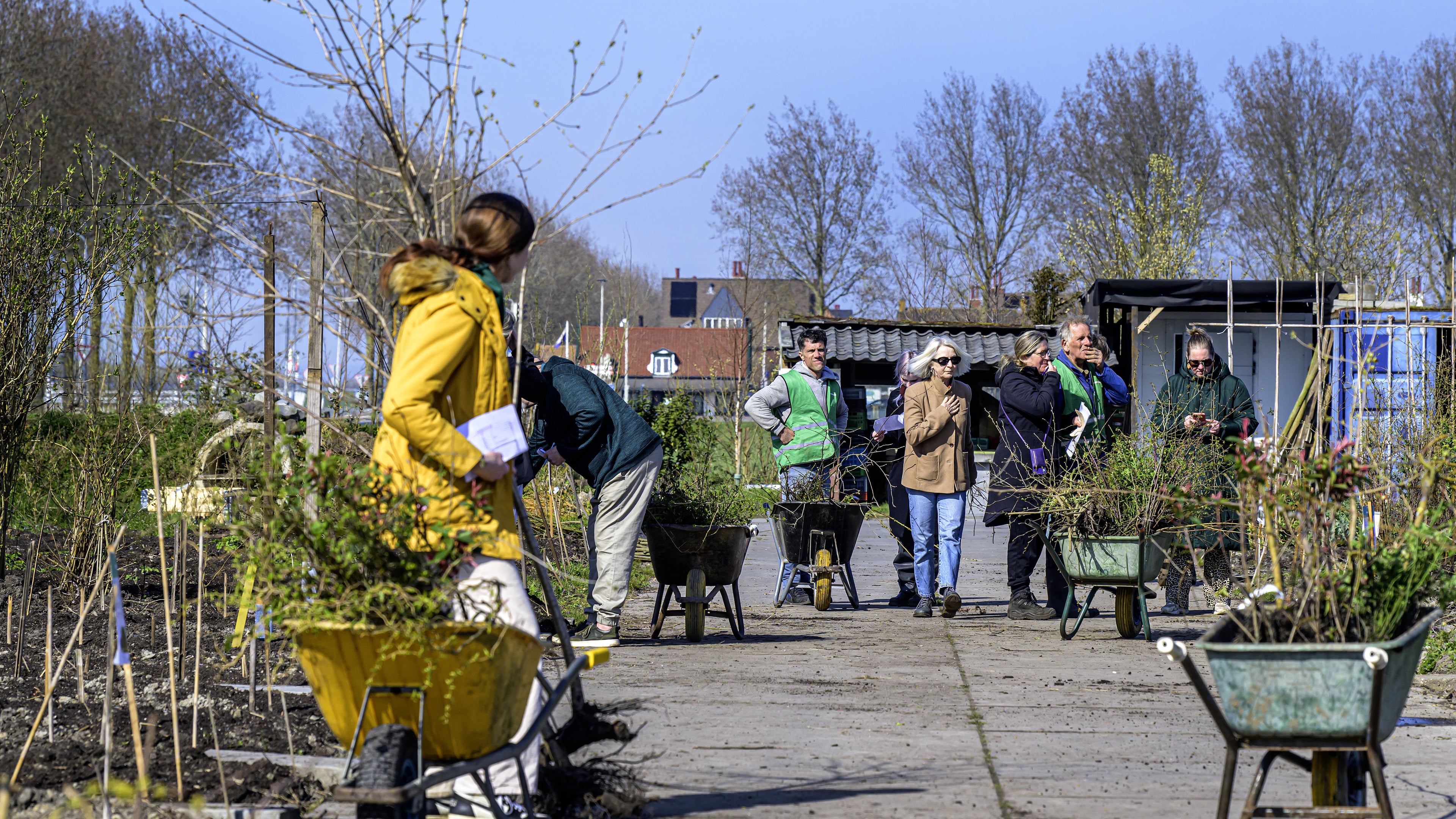 High interest in free saplings and greenery: '95 percent are greedy, but 5 percent are moved and come to help us'