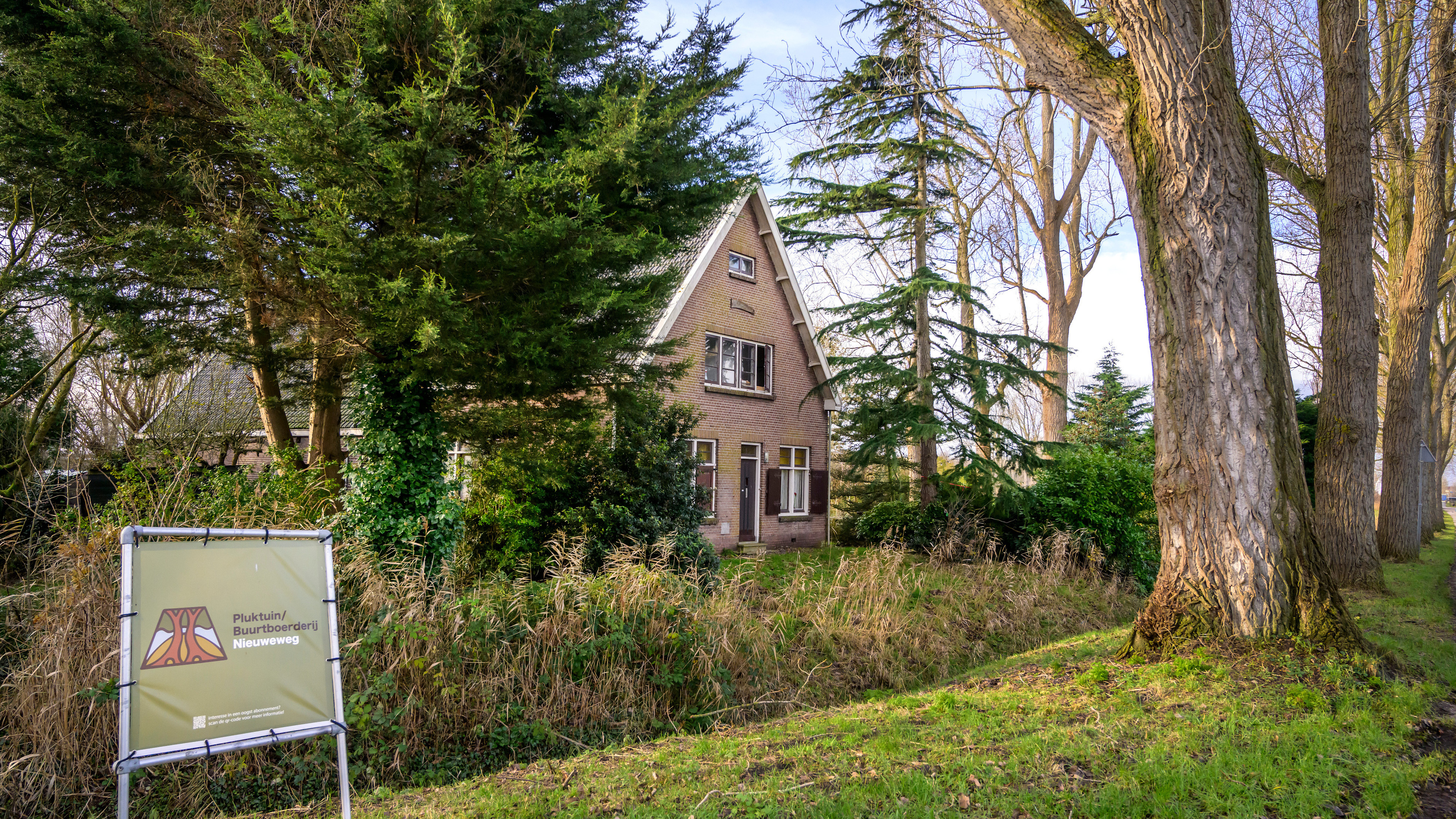 Local residents lose battle over new Domus Plus shelter in Haarlem; Council of State greenlights construction