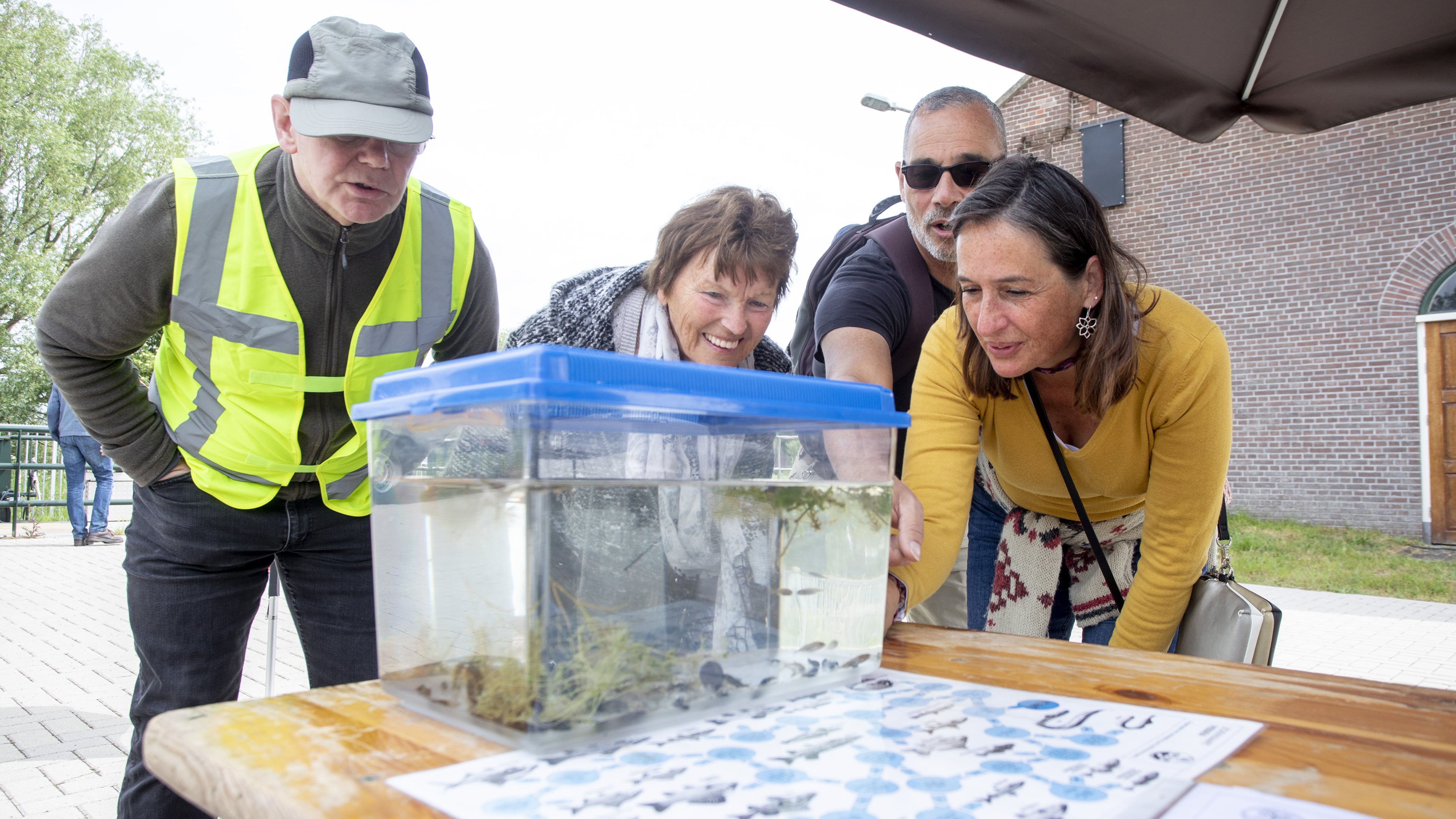'Fish Migration Day' at Rijnland pumping station in Spaarndam