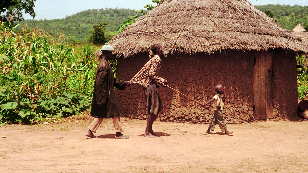 After 15 Billion Pills from Haarlem, Tide Turns Against River Blindness and Elephant Disease