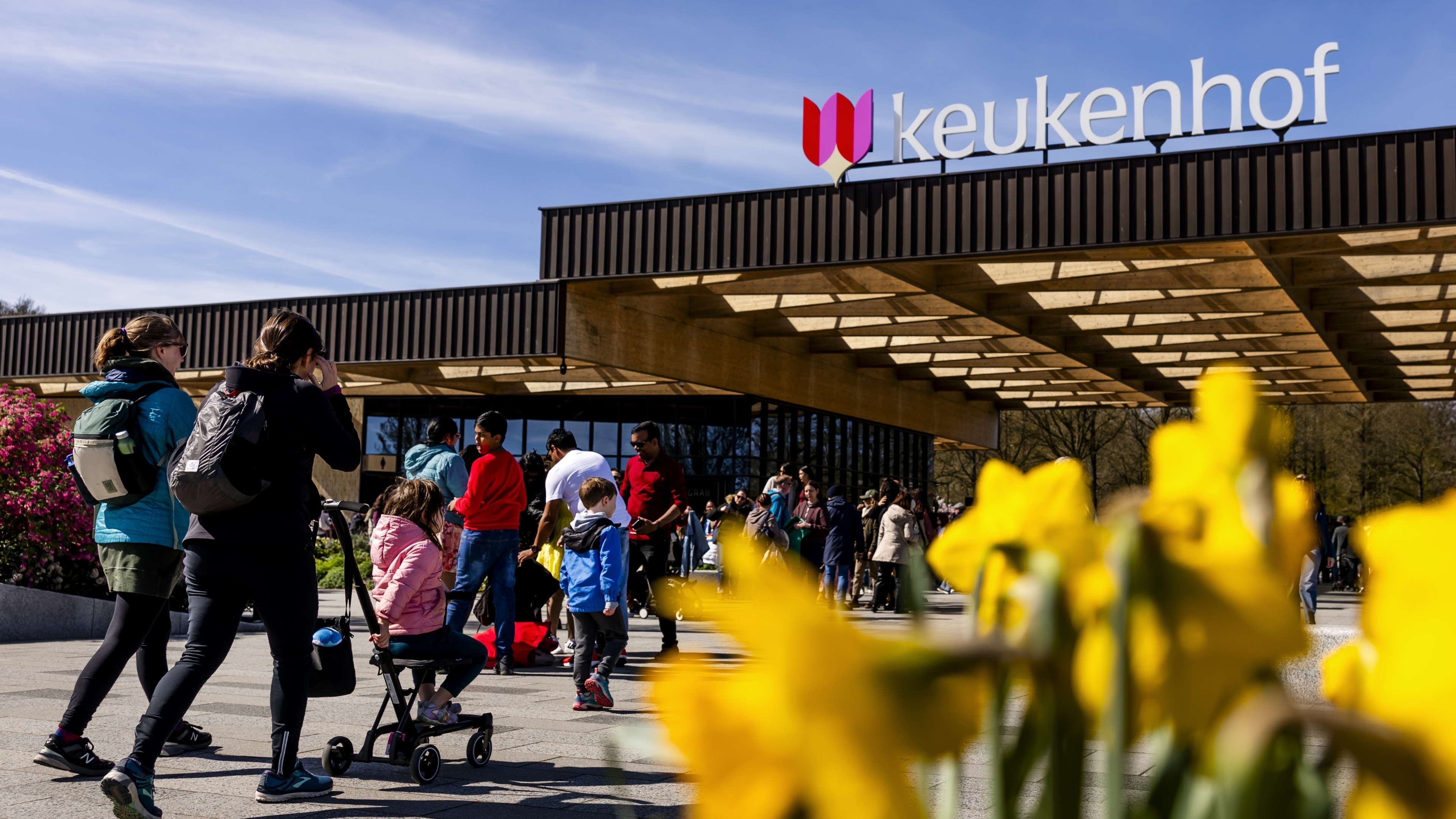 New measures against Keukenhof traffic nuisance aim to spare Lisserbroek