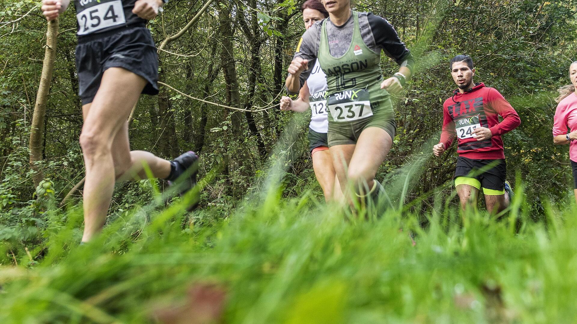 Overwinningen voor Kroon en Rothweiler in zware crossloop in Wijk aan ...