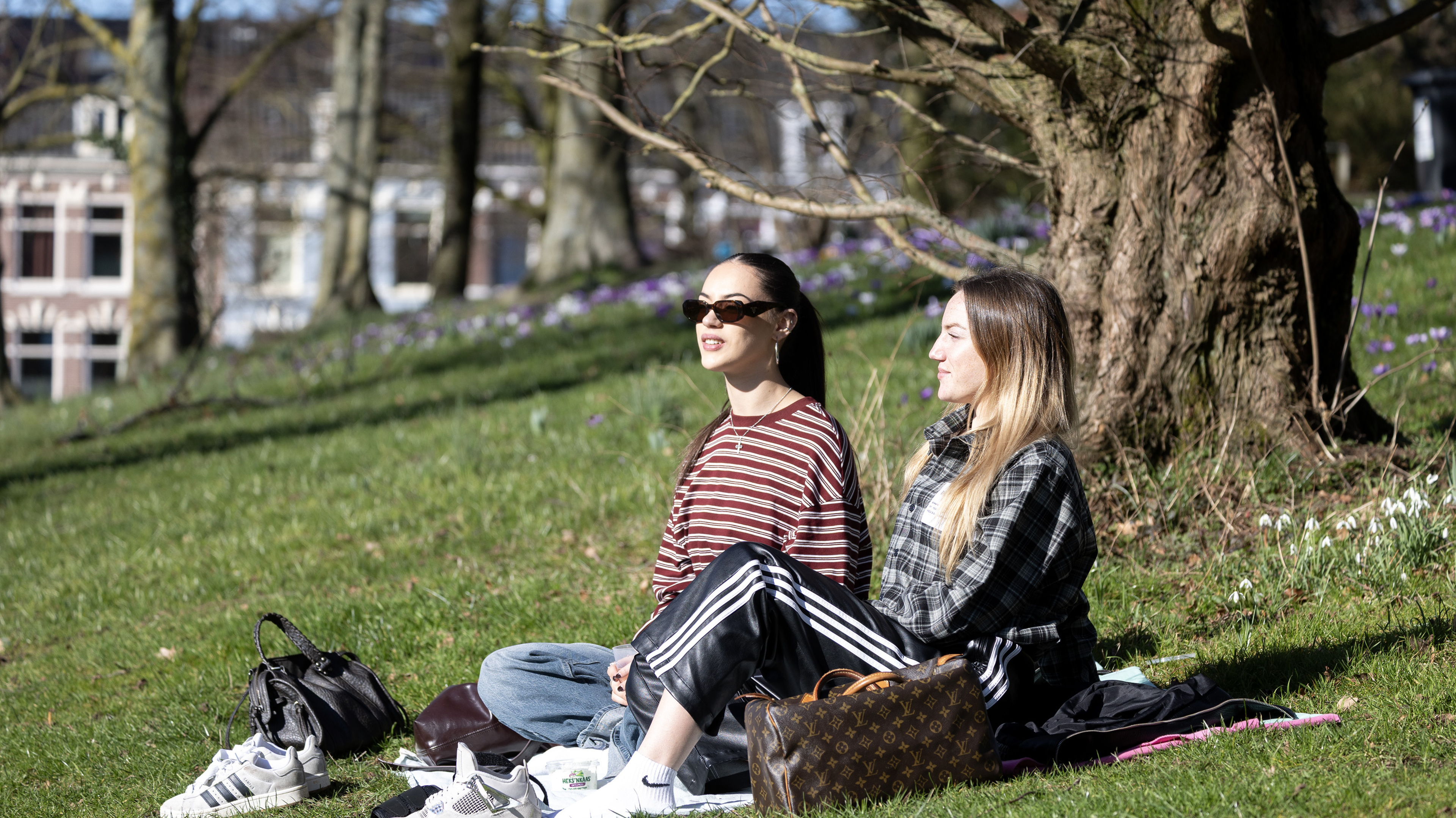 Working? No way, they're enjoying the sun: First spring warmth draws Haarlem residents outdoors