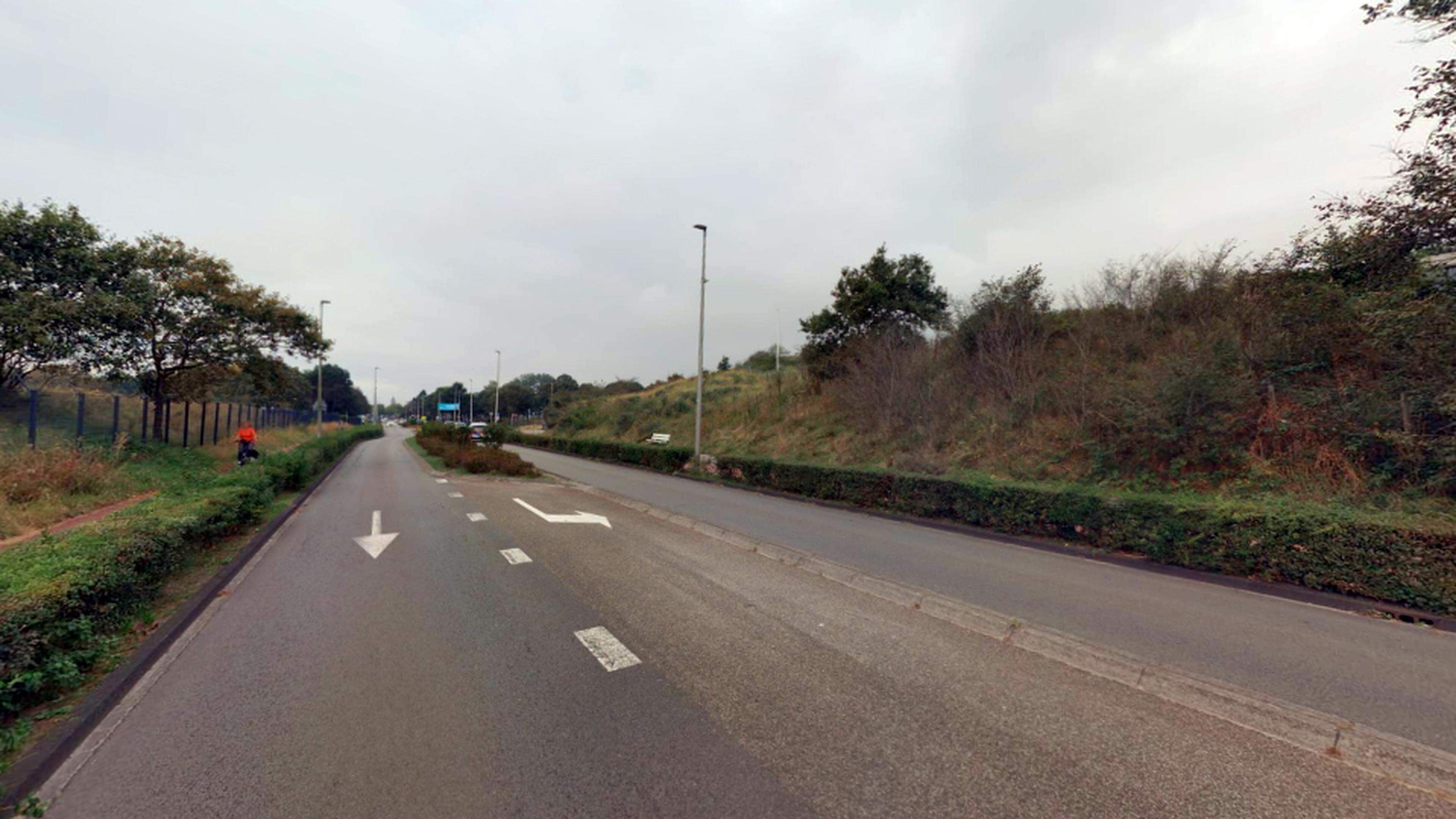 Nieuw asfalt maar ook bomen voor Zandvoortselaan
