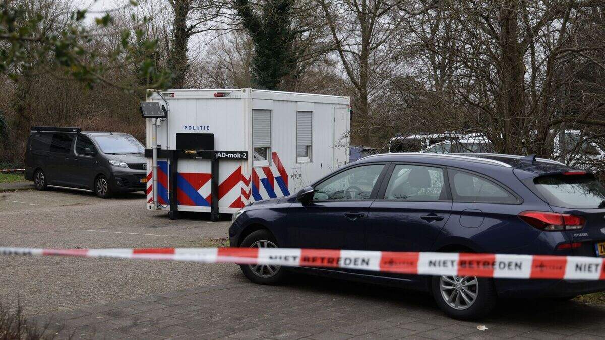 Overleden persoon aangetroffen in Haarlem, geen sprake van misdrijf ...