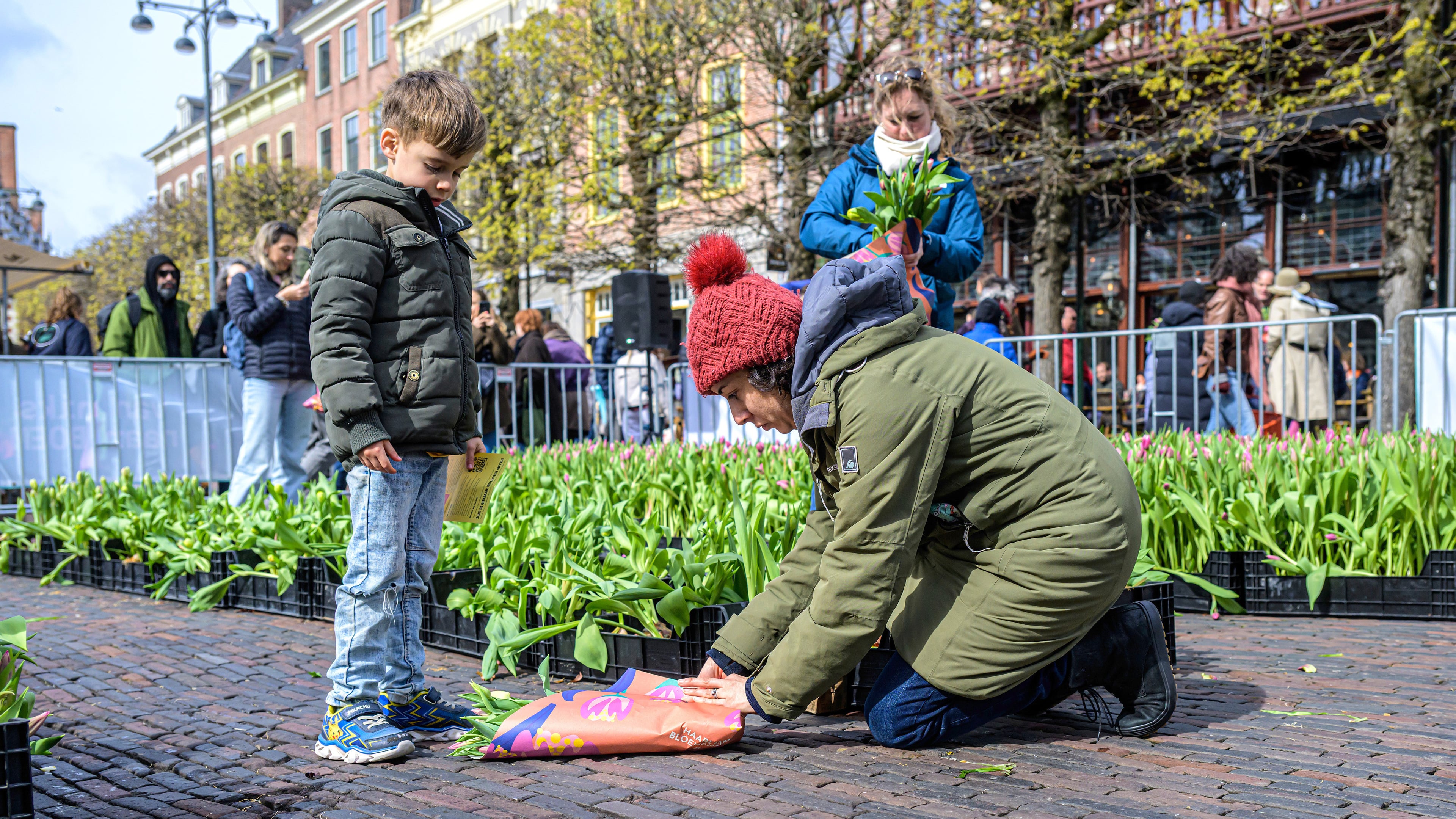 40,000 tulips picked on the Grote Markt: ‘Not a single tulip left’