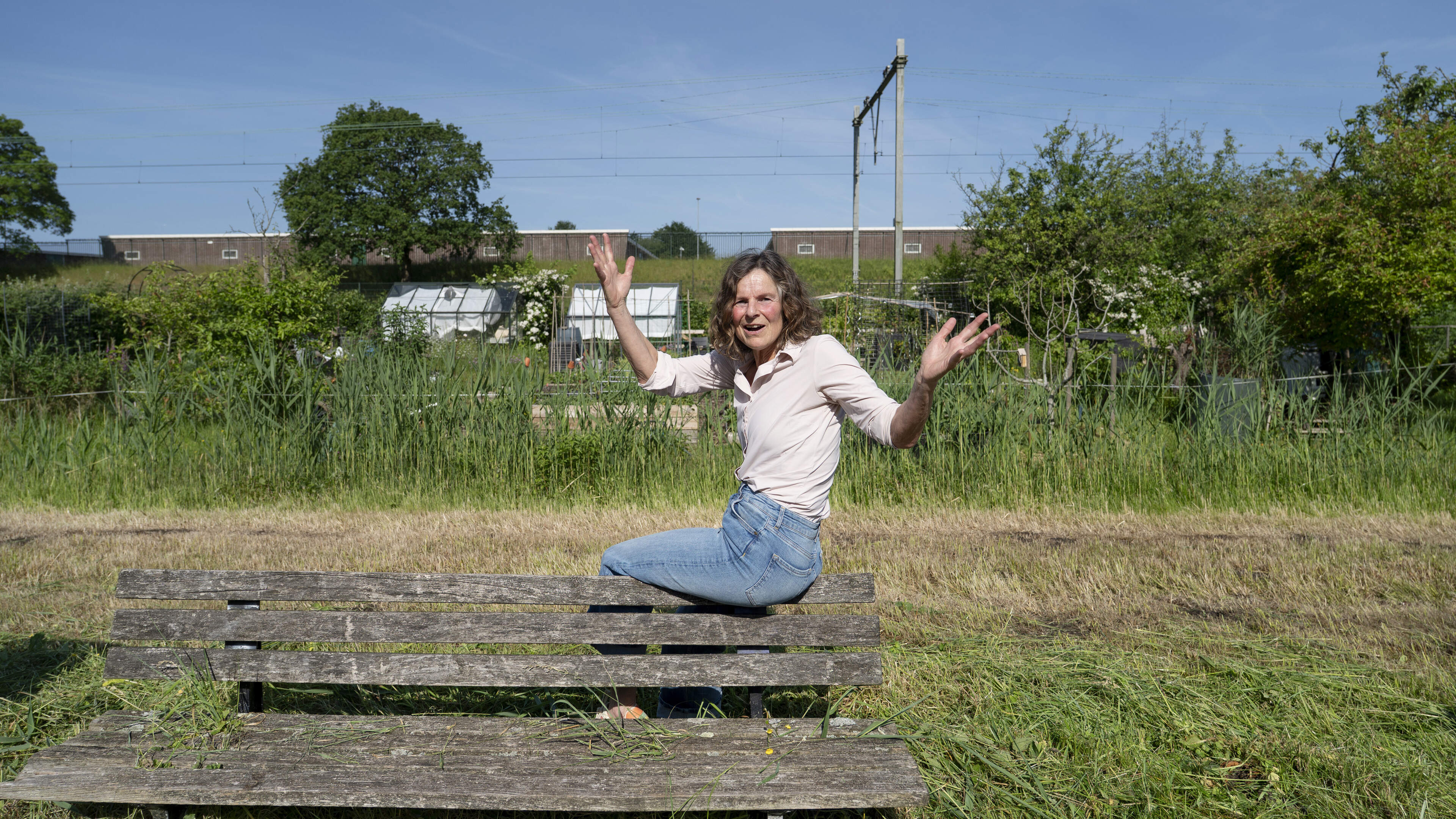 Lonneke from Hillegom outraged by large-scale mowing of colorful flower strips in Heemstede: 'I couldn't believe it'