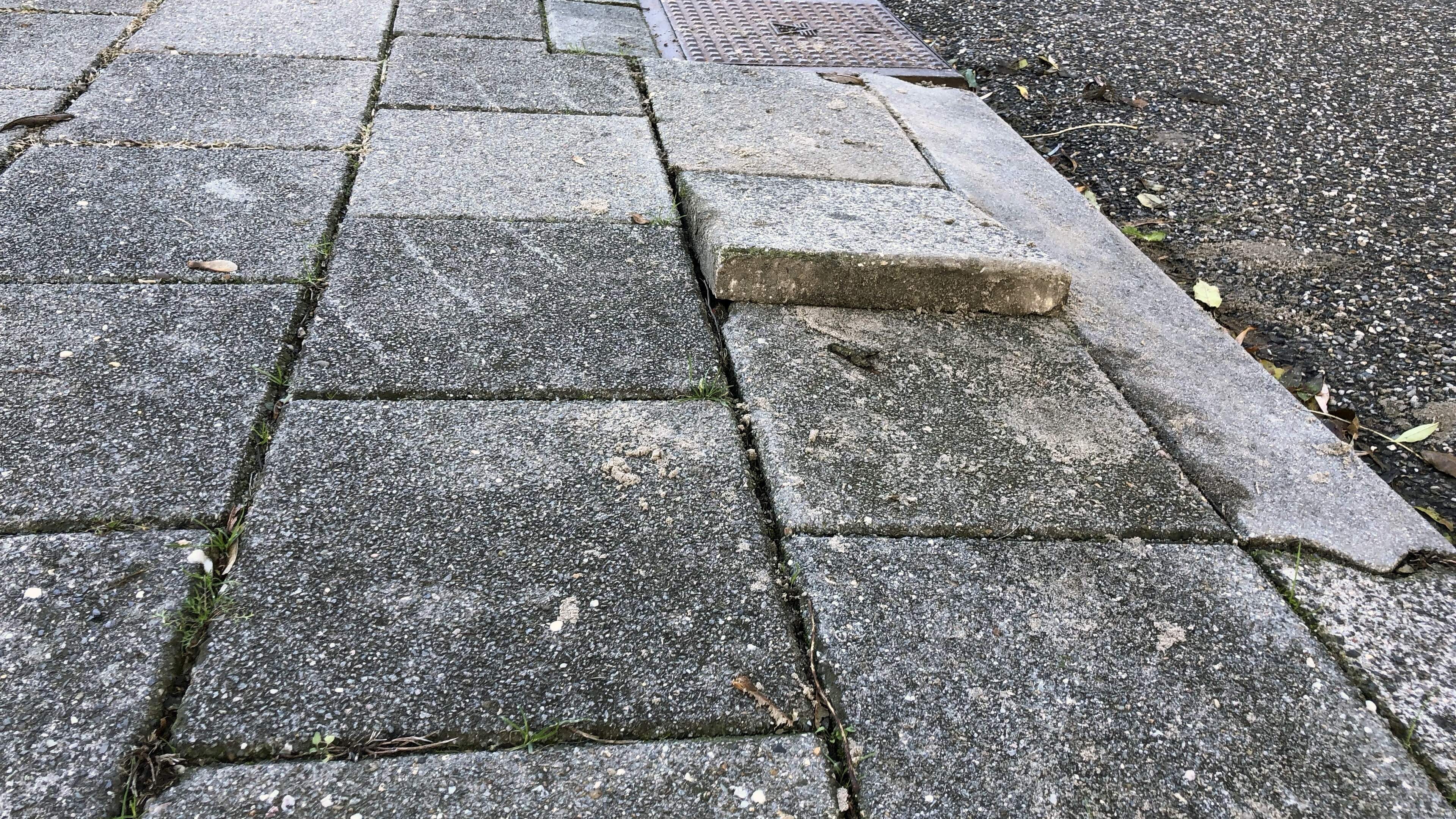 D66 Haarlem demands answers over paving stones after lead candidate Steven Jonker takes a tumble