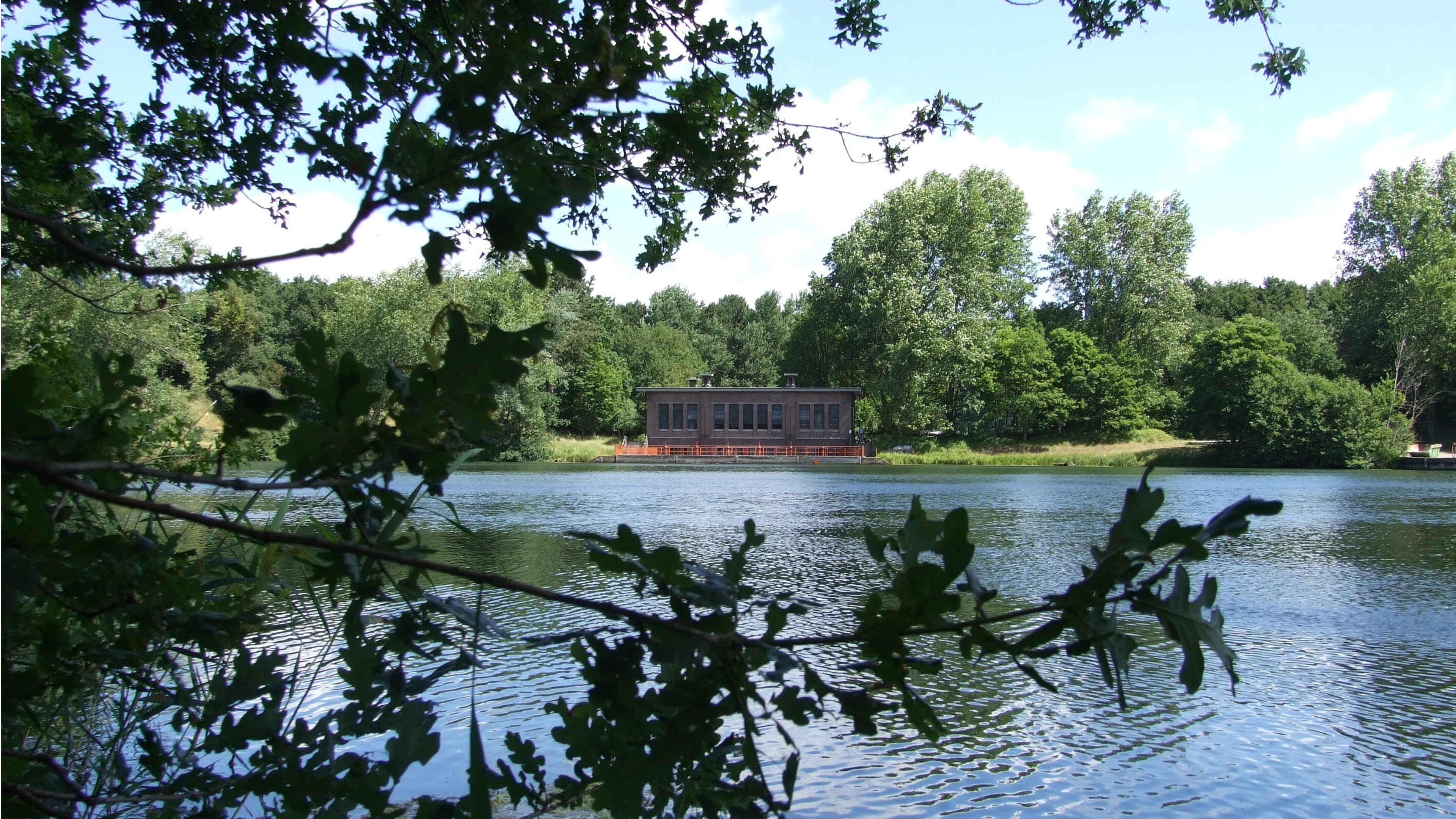 Contaminated river water pollutes clean dunes, concentrations exceed standards