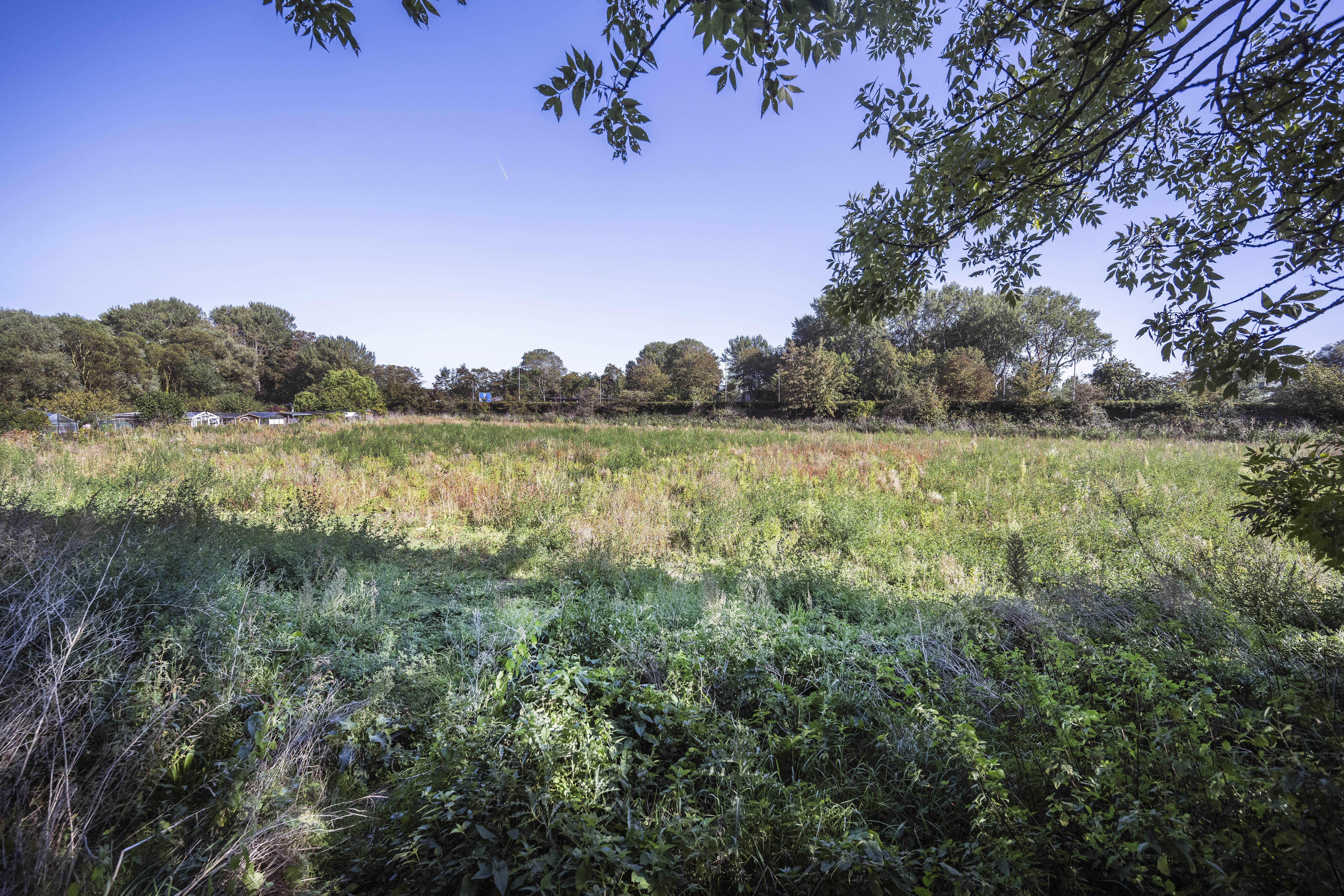 Toekomst Blekersveld nog in nevelen gehuld. ’Aan de Westelijke Randweg komen aan de Haarlemse kant n