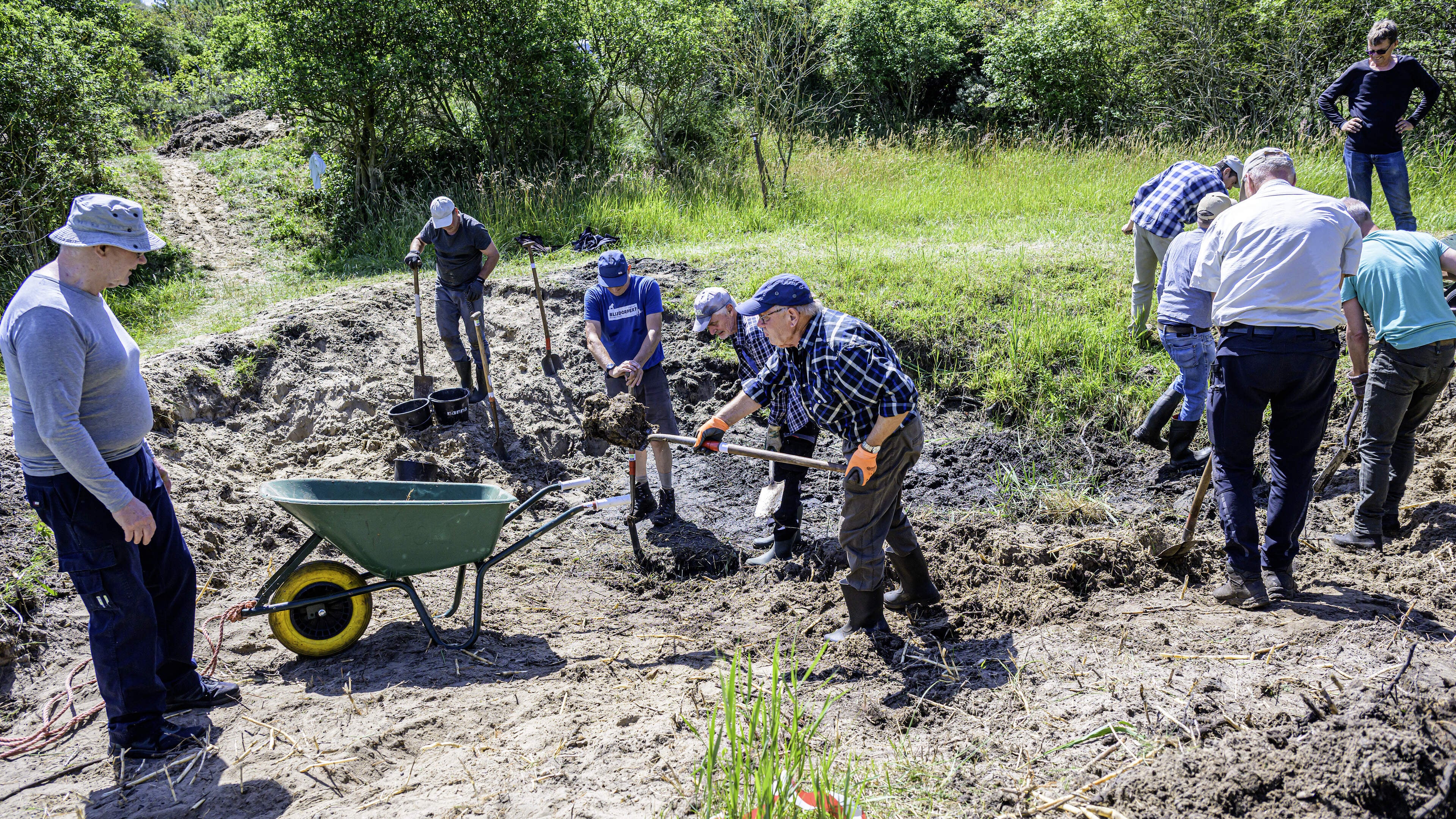 Pitching in for the toad pond: Groundwater levels have dropped, amphibians can no longer lay their eggs there