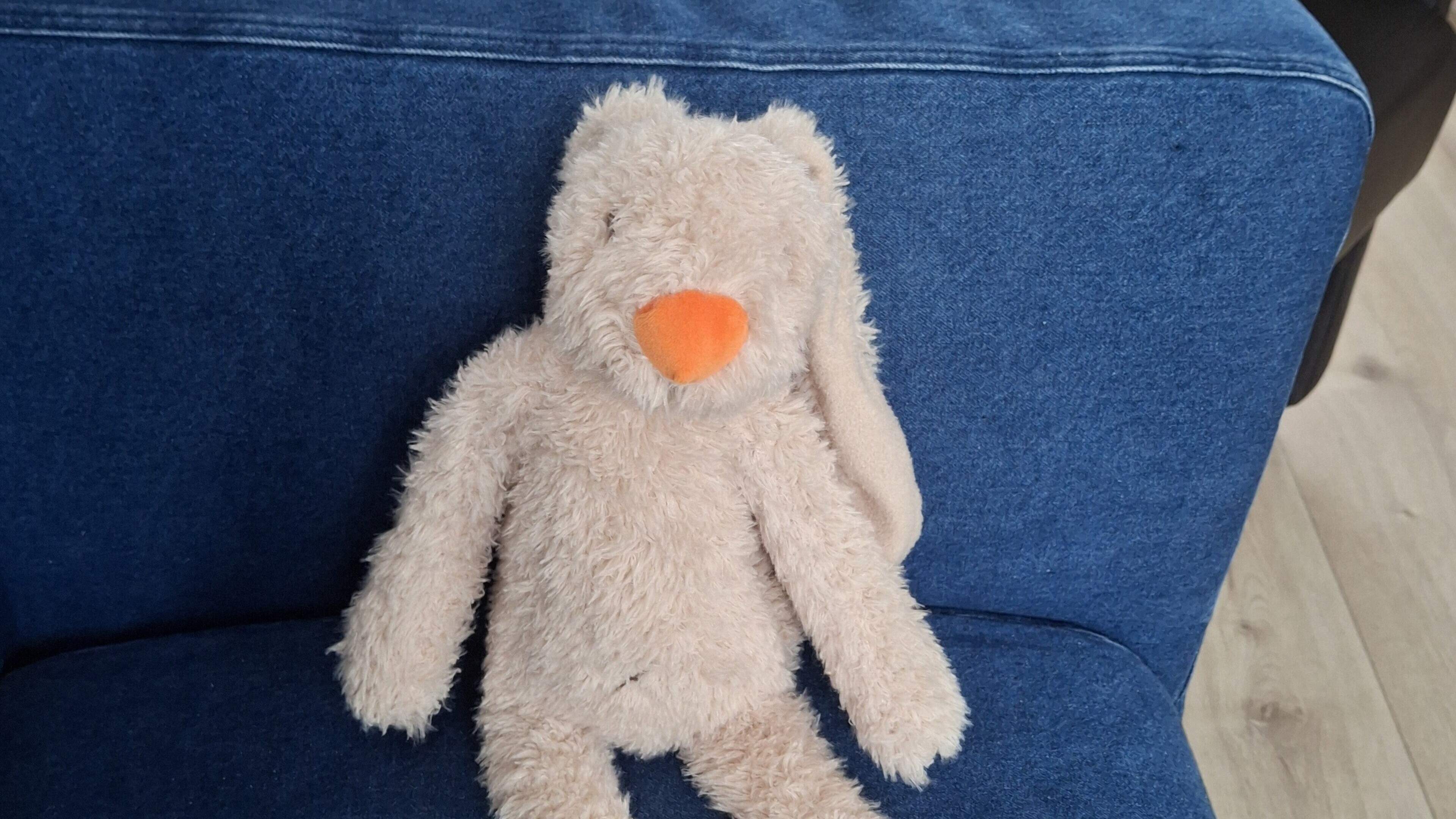 Huge amount of kindness after 3-year-old Pien loses toy bunny: Haasie is not back, but many replacements offered