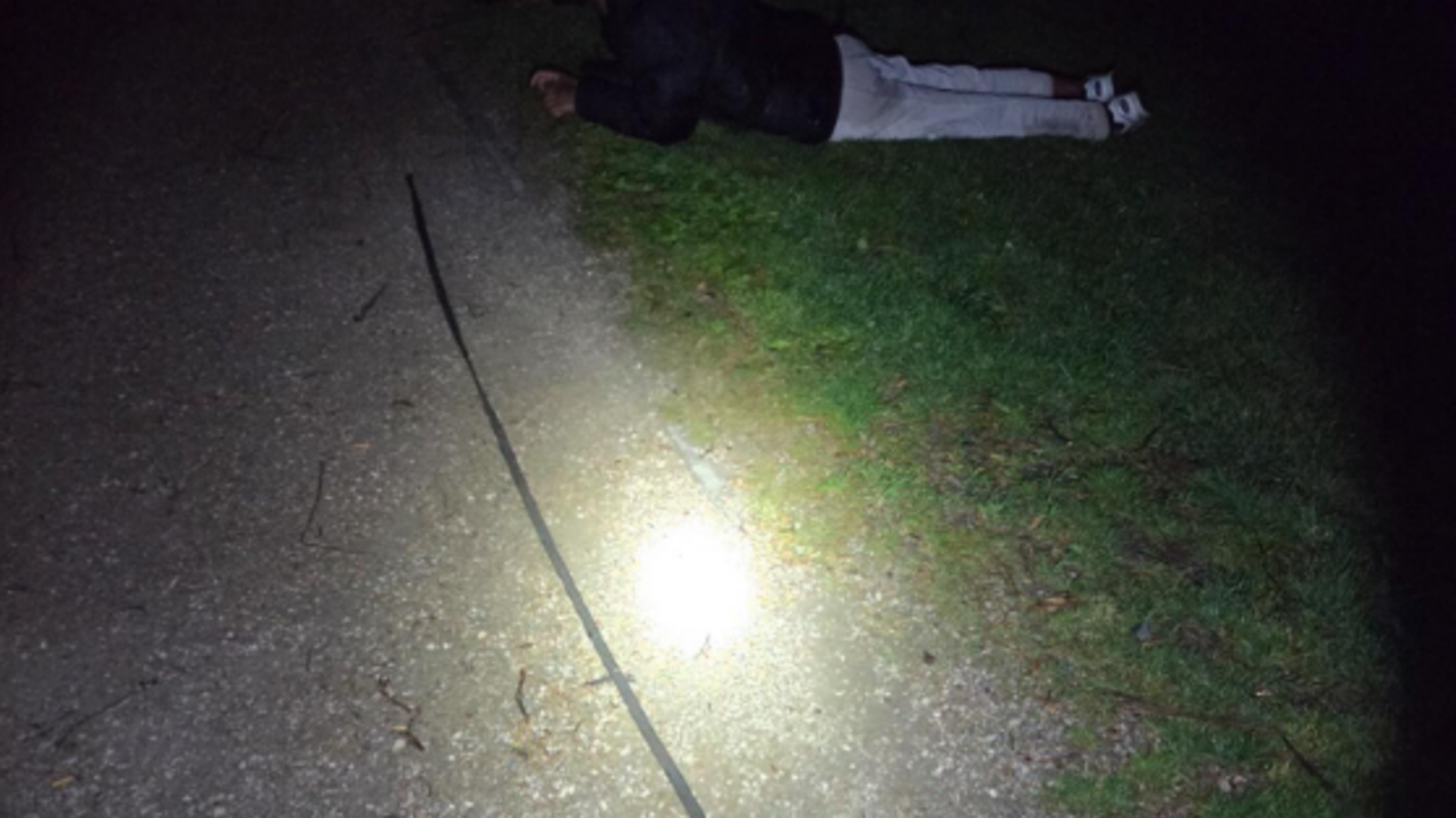 Three boys arrested in Haarlem for attempted fatbike theft thanks to police dogs