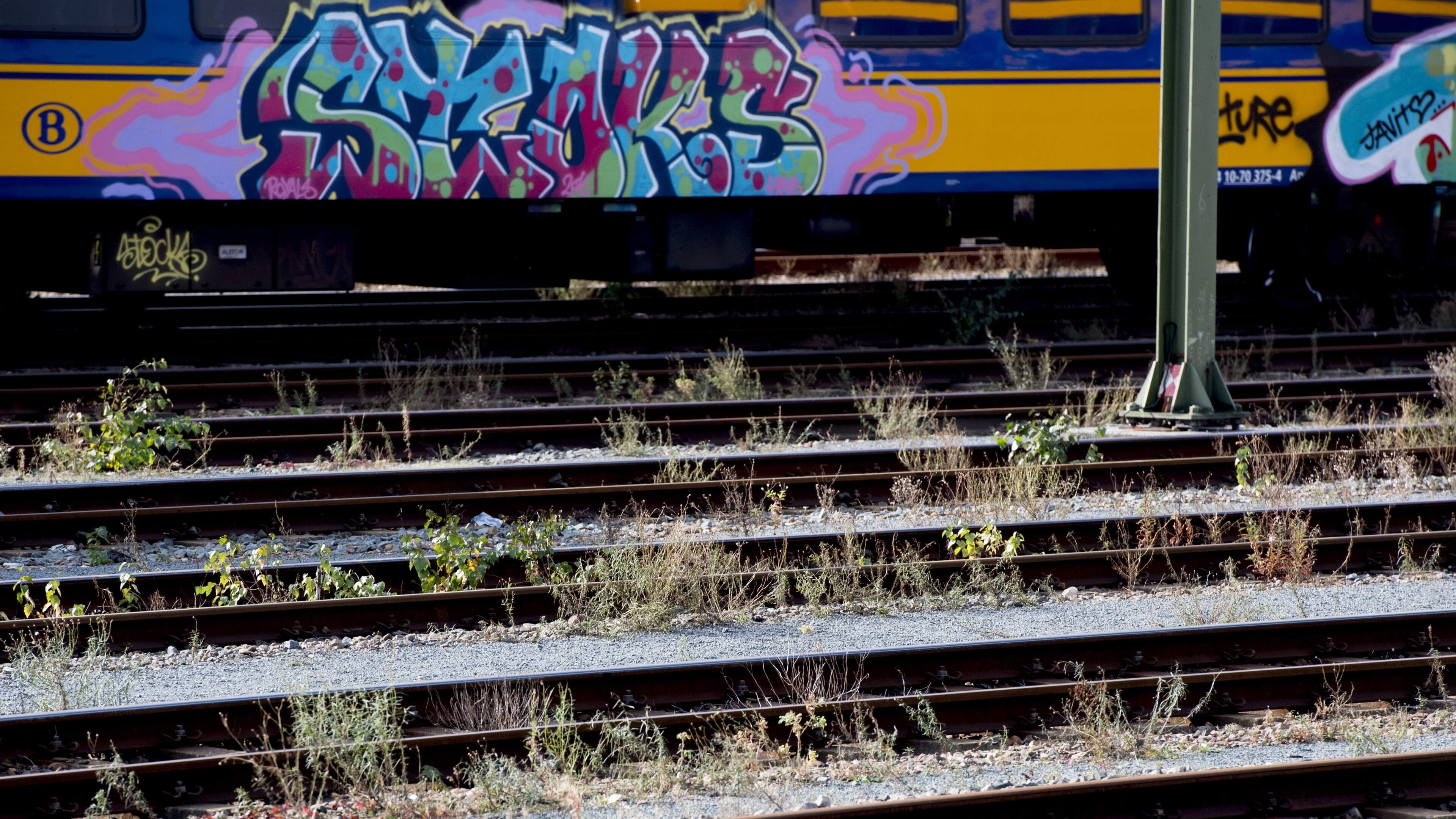 Fewer sprinters between Schiphol and Amsterdam Sloterdijk due to repair work