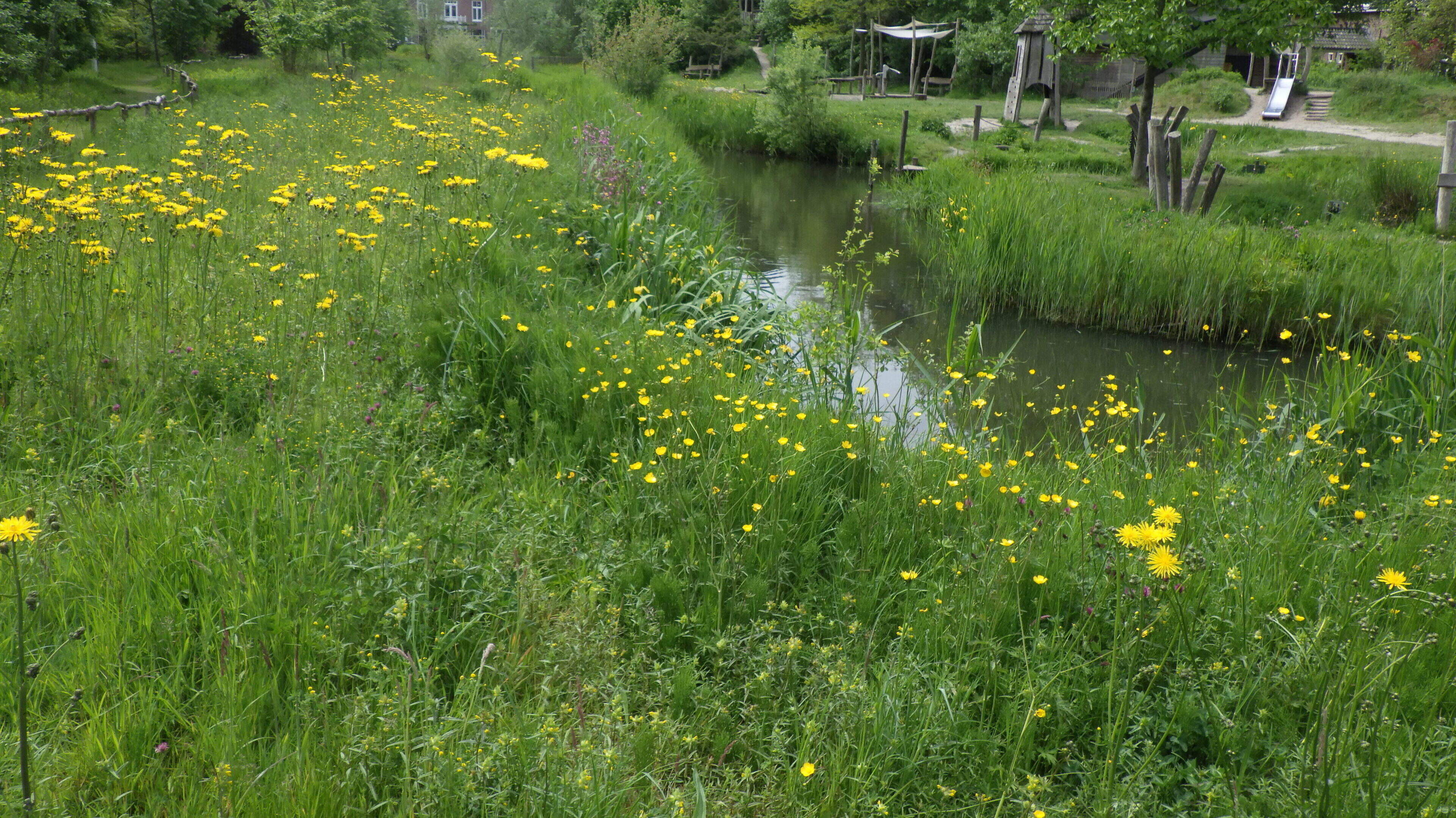 100 species recorded in an hour on Biodiversity Day