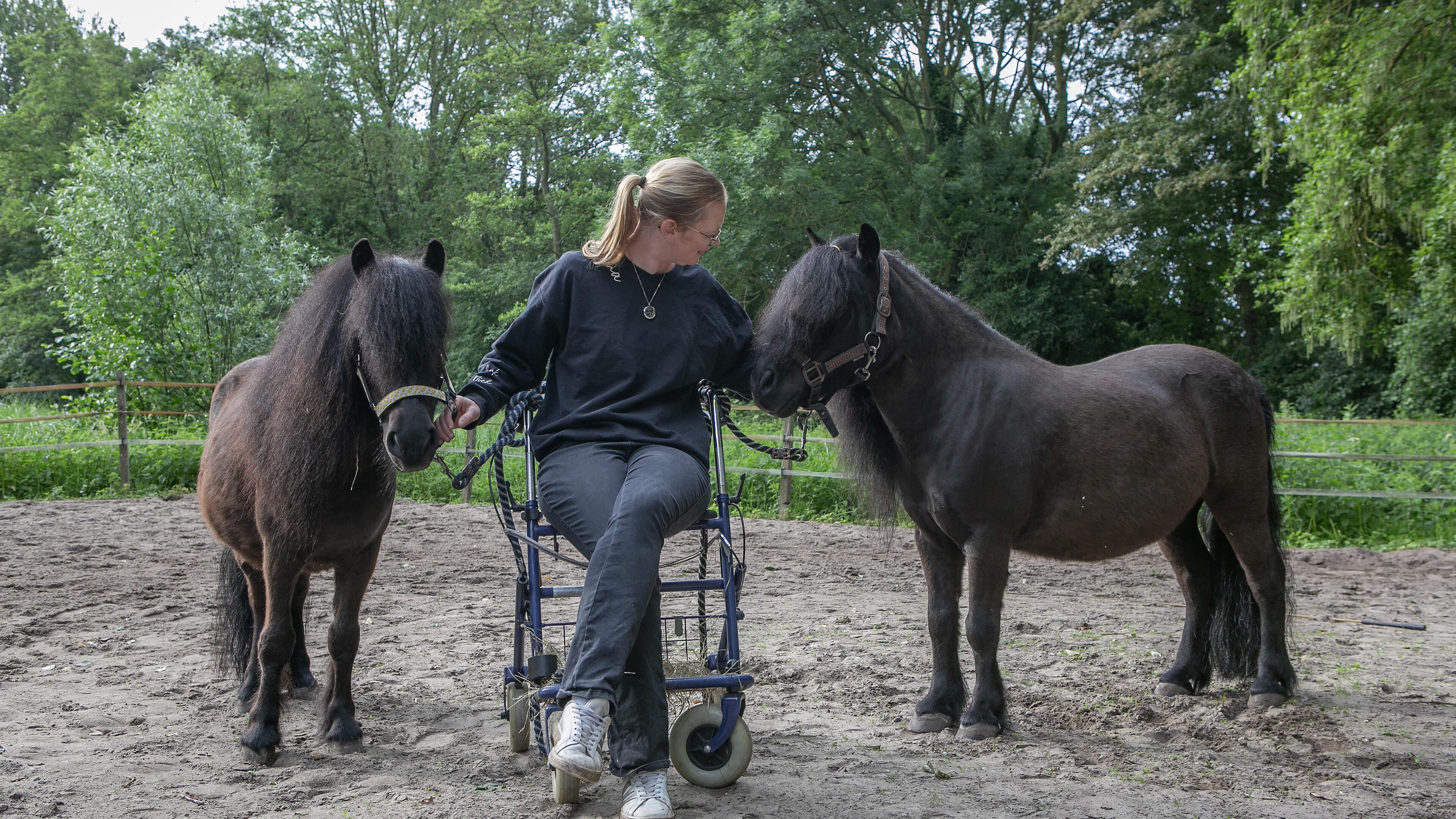 Horses forced to leave Engelandpark after 39 years: ‘I don’t think the way this was handled is fair’