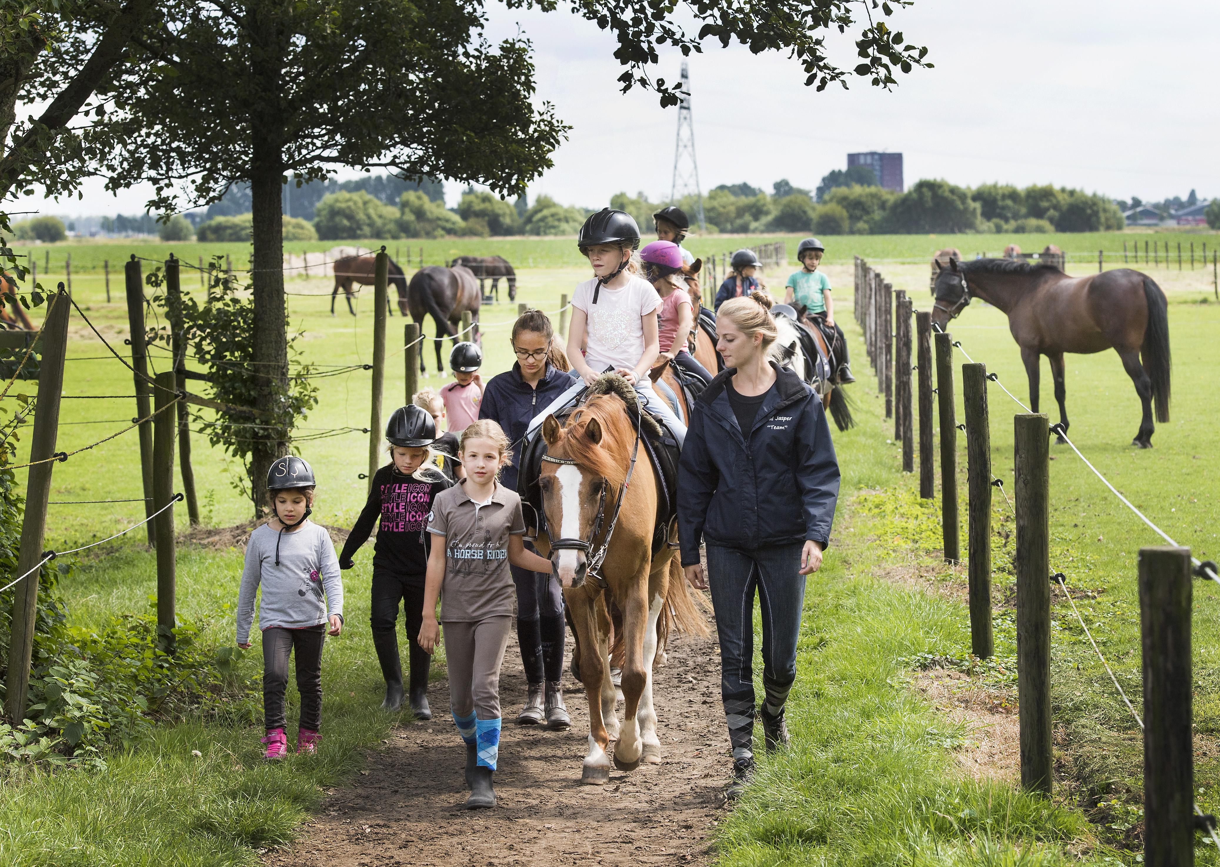 Tranendal maar ook begrip: Stal Jasper stopt met paardijlessen. ’Het is mooi geweest’