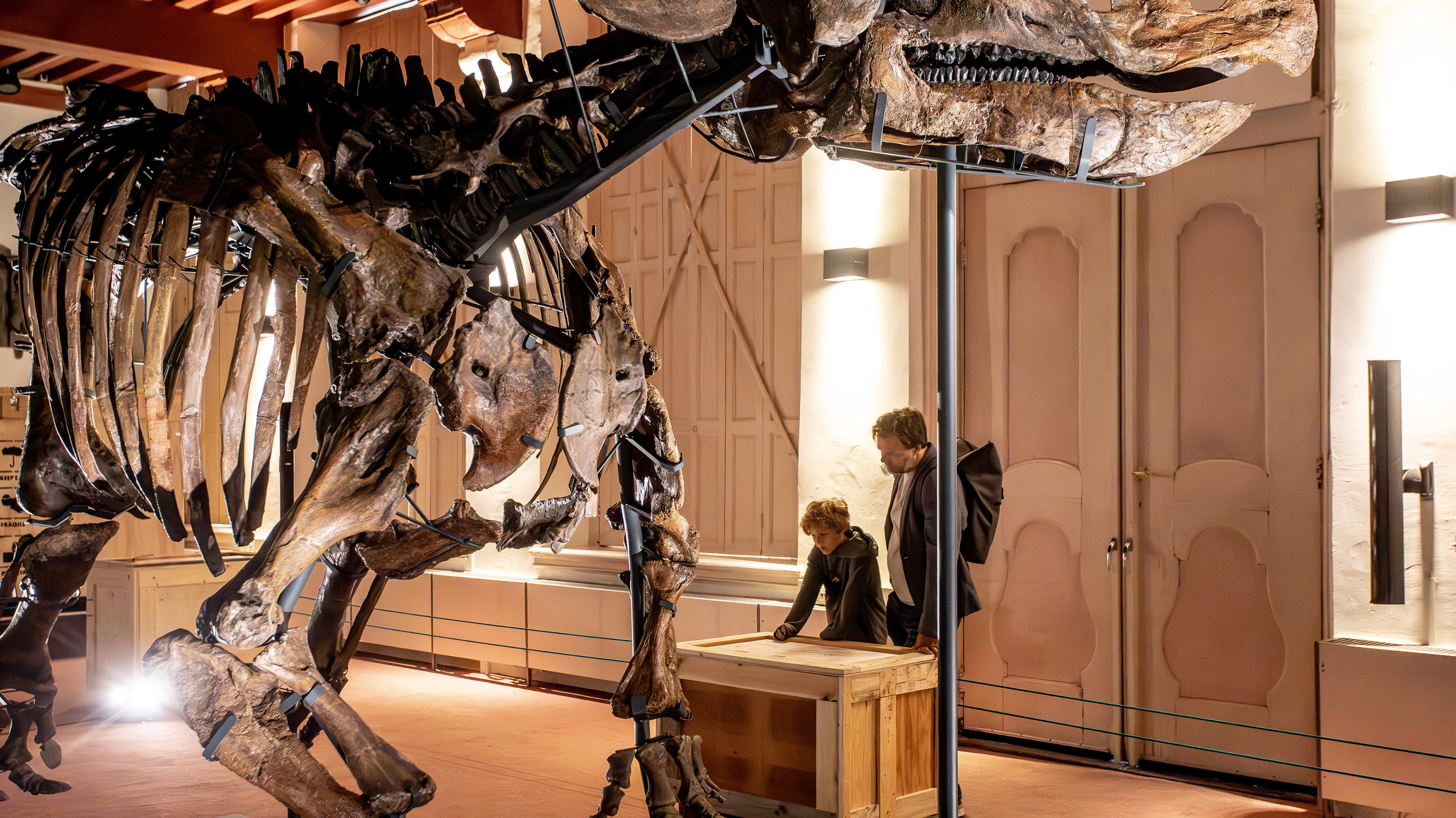Triceratops trekt op eerste tentoonstellingsdag al 500 bezoekers naar de bibliotheek. ‘Dat rare bot 