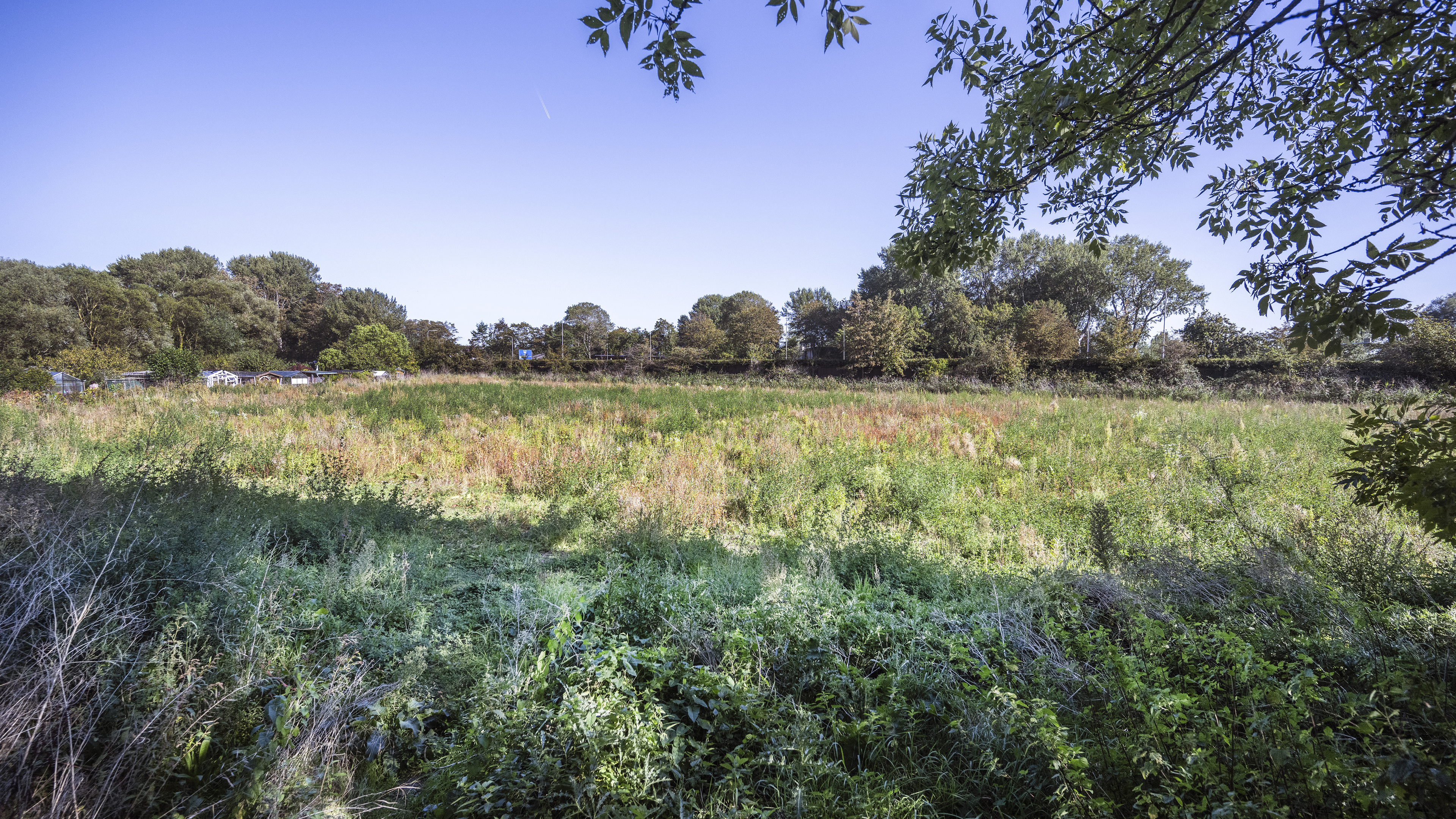 Housing construction at Blekersveld: enough to drive you crazy. Why can’t Bloemendaal politicians make a decision?