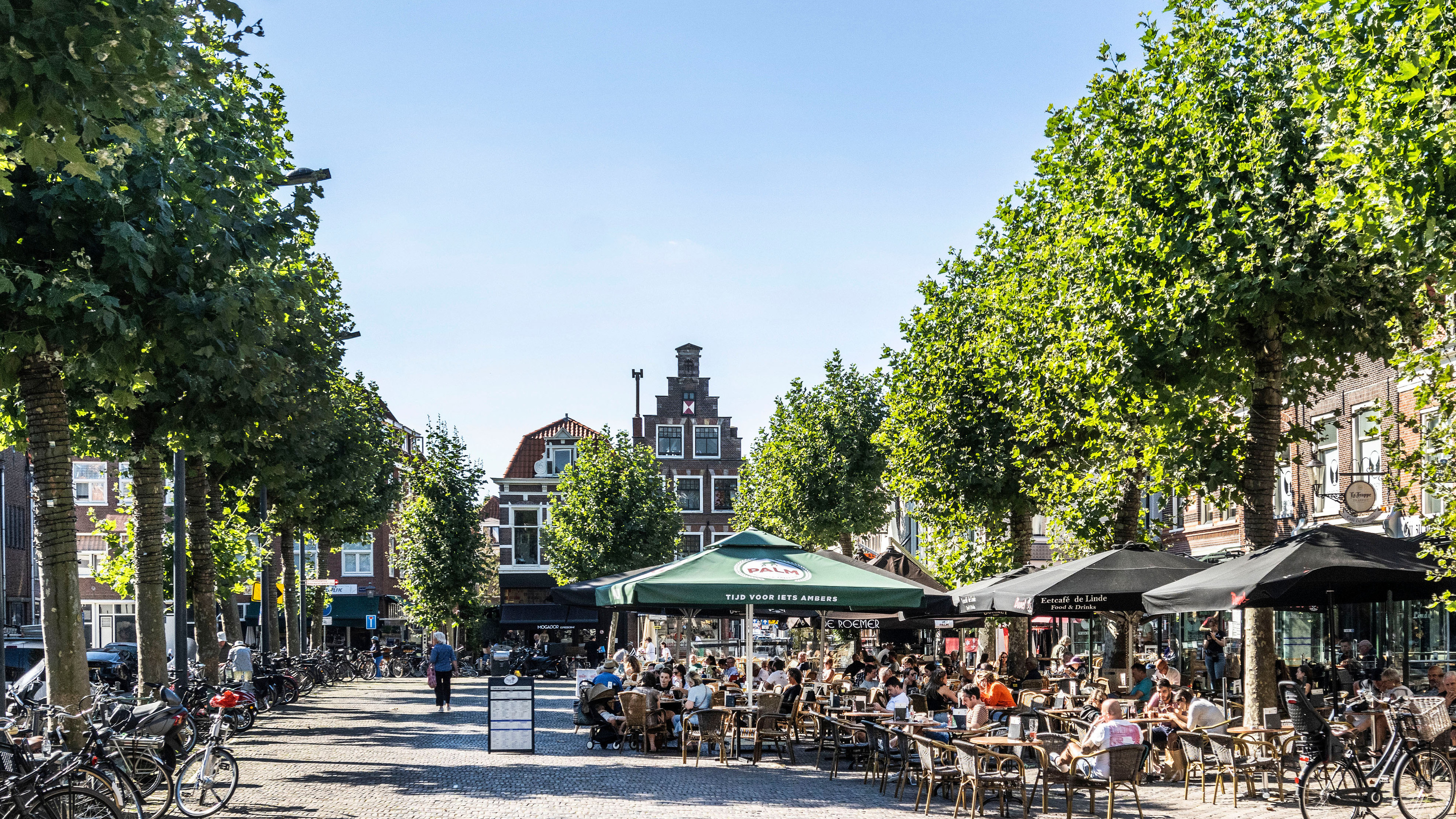 Silent protest: reading for freedom at the Botermarkt