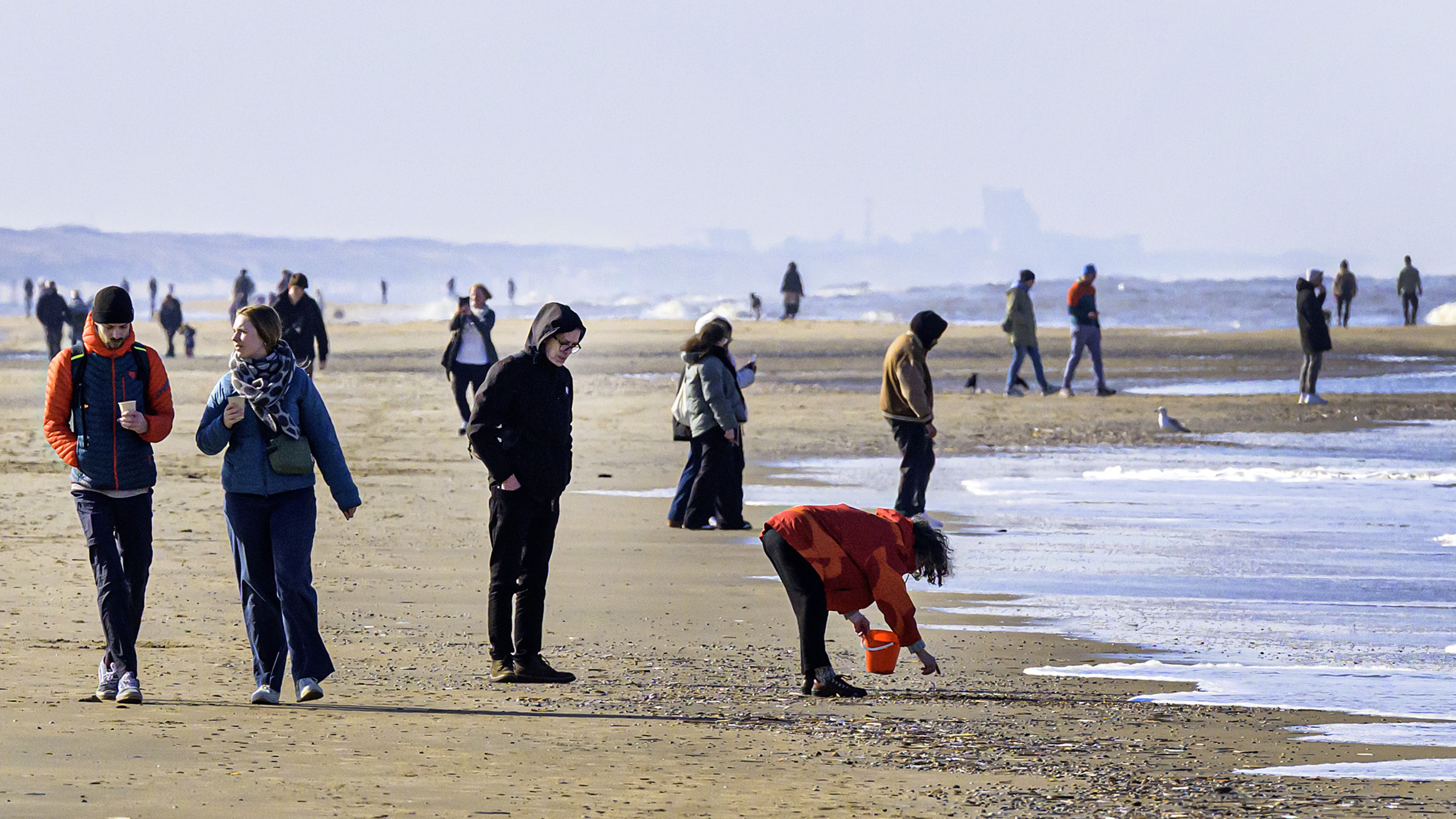 'You were allowed a hundred, but I can't stop': Dozens of collectors enjoy National Shell Counting Day in Zandvoort