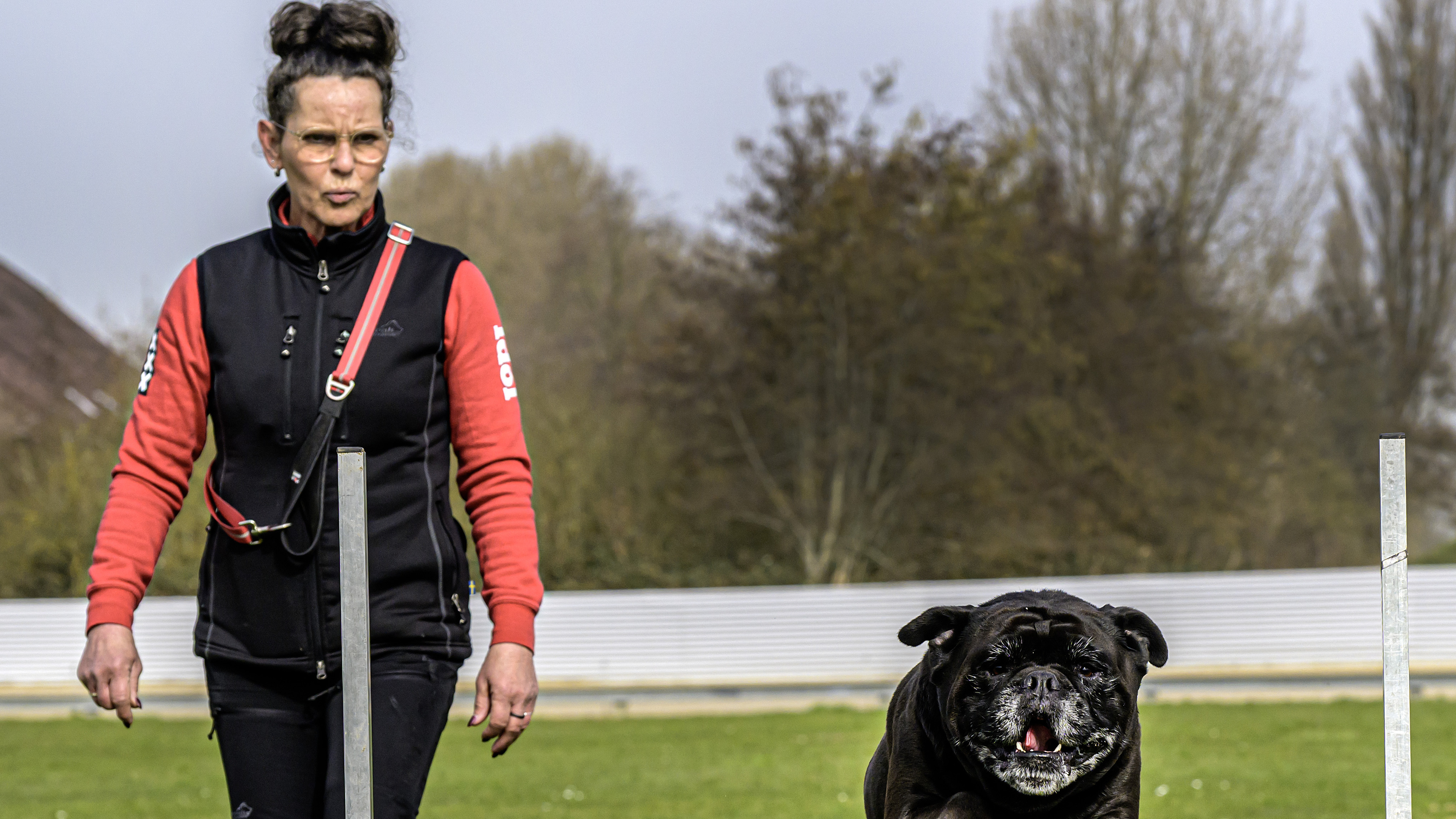 Dog Idol and owner Ilse take on challenge together in Spaarndam: ‘He may not be my child, but he is a full member of the family’