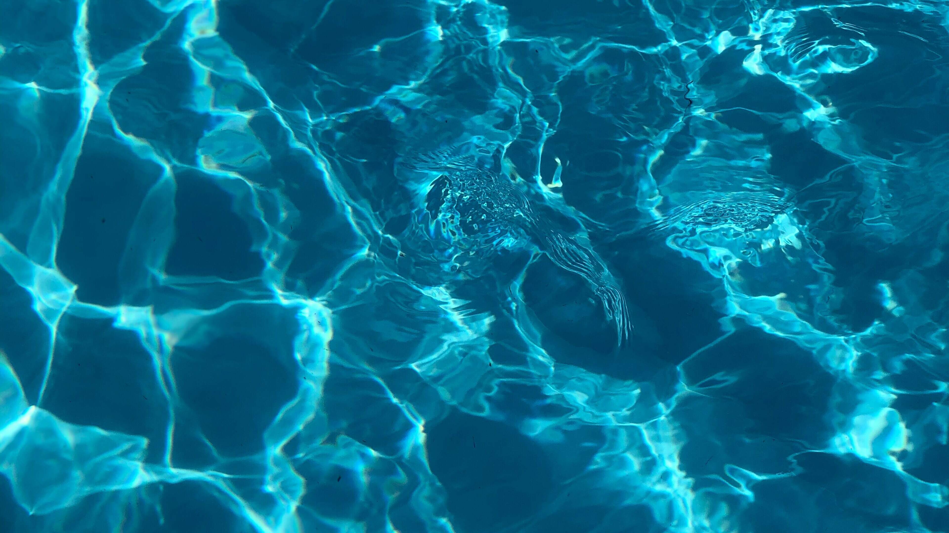 Man (27) gropes woman and pulls down another's bikini bottom at Zandvoort pool: 100 hours community service