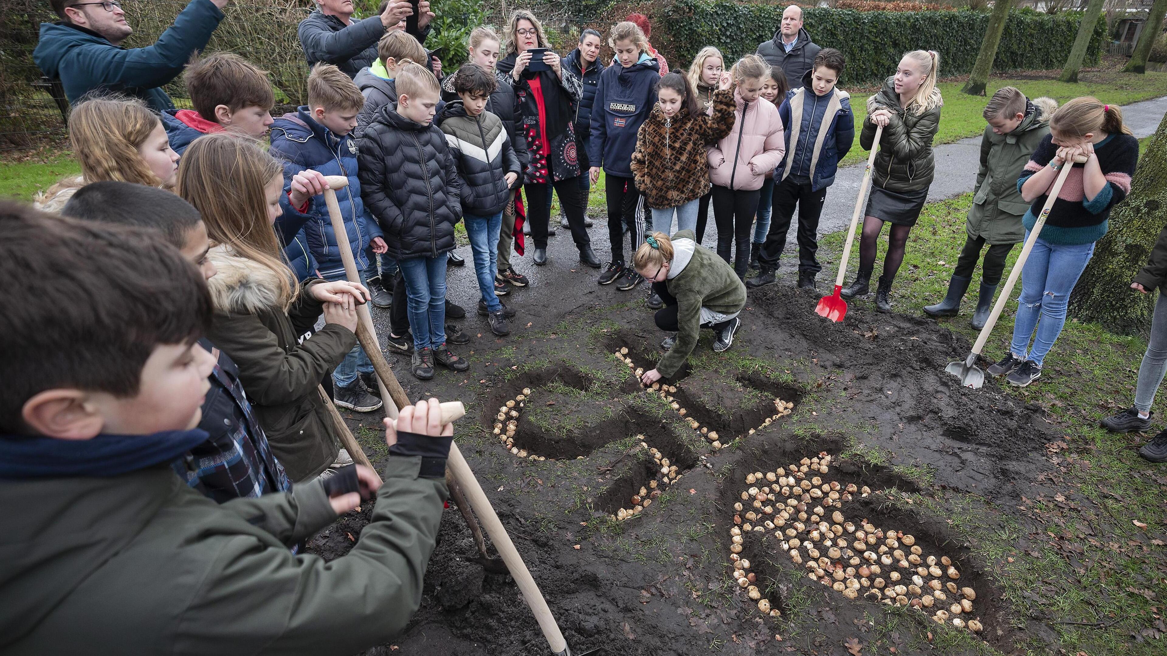 Tulpenbollen geplant bij oorlogsmonument in Zwaanshoek