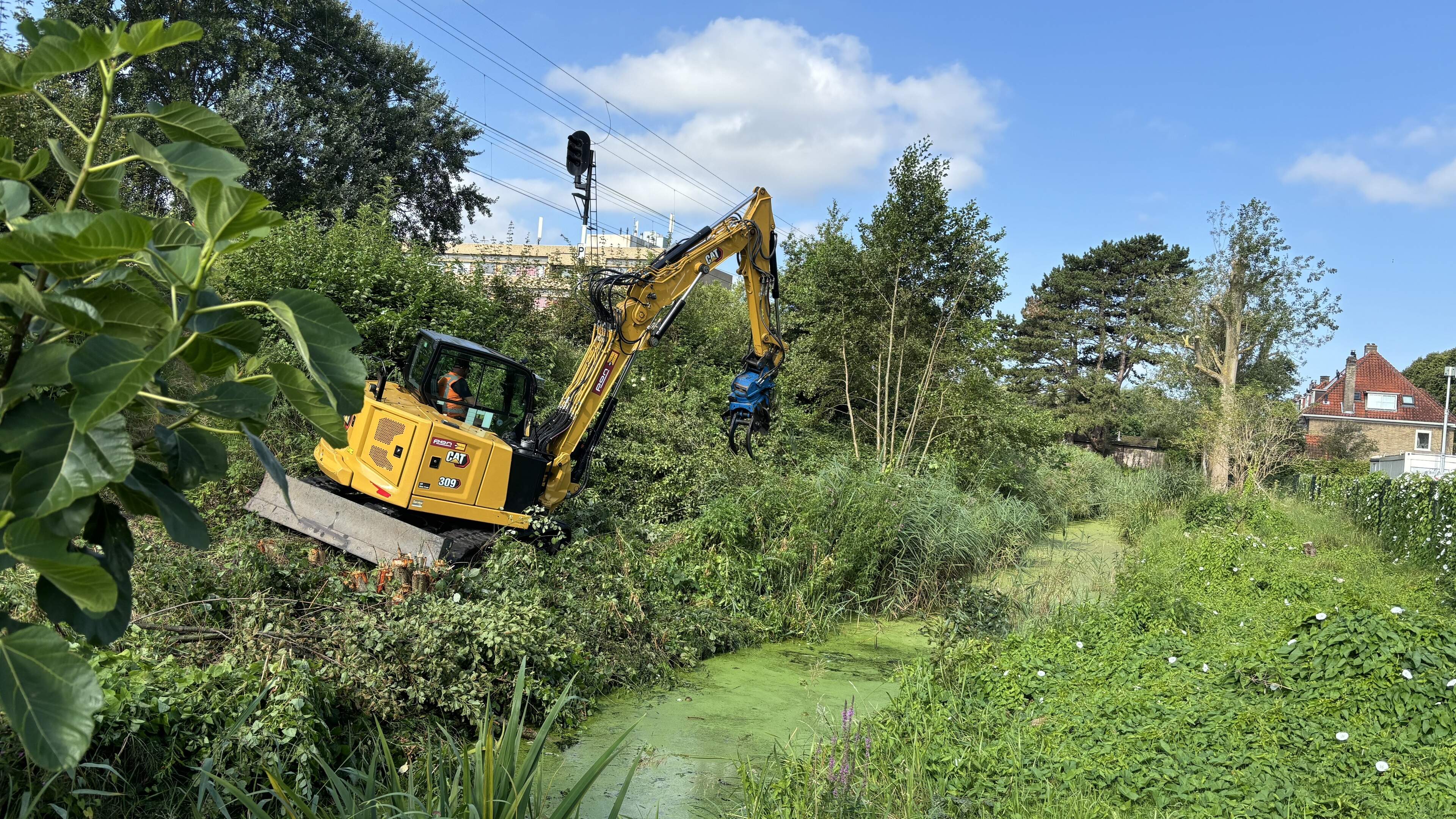 ProRail haalt jonge bomen weg naast het spoor Haarlem-Overveen