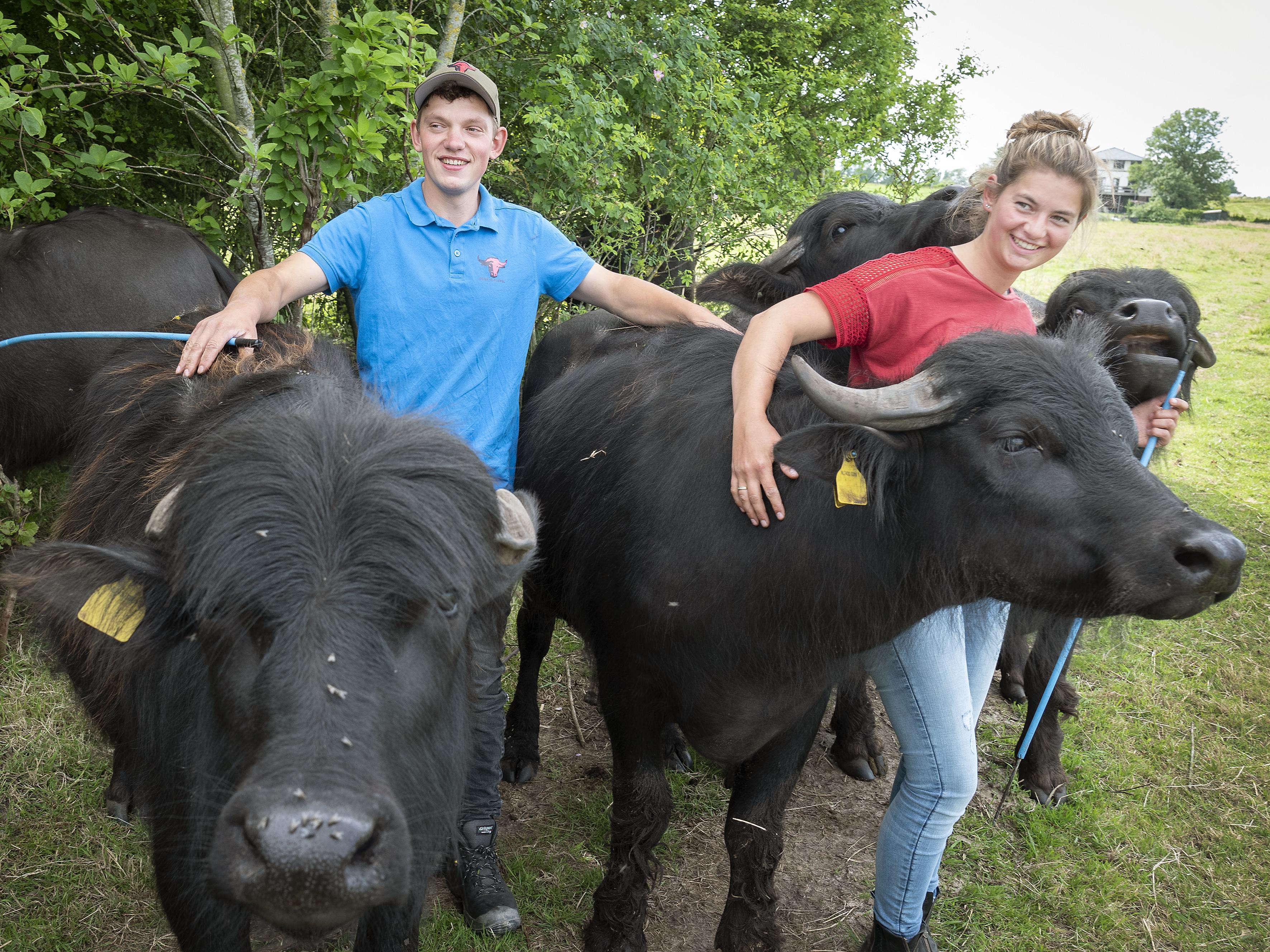 Startende boeren Emma (26) en Olivier (27) pakken de koe bij de hoorns: ’Met onze knuffelige waterbu