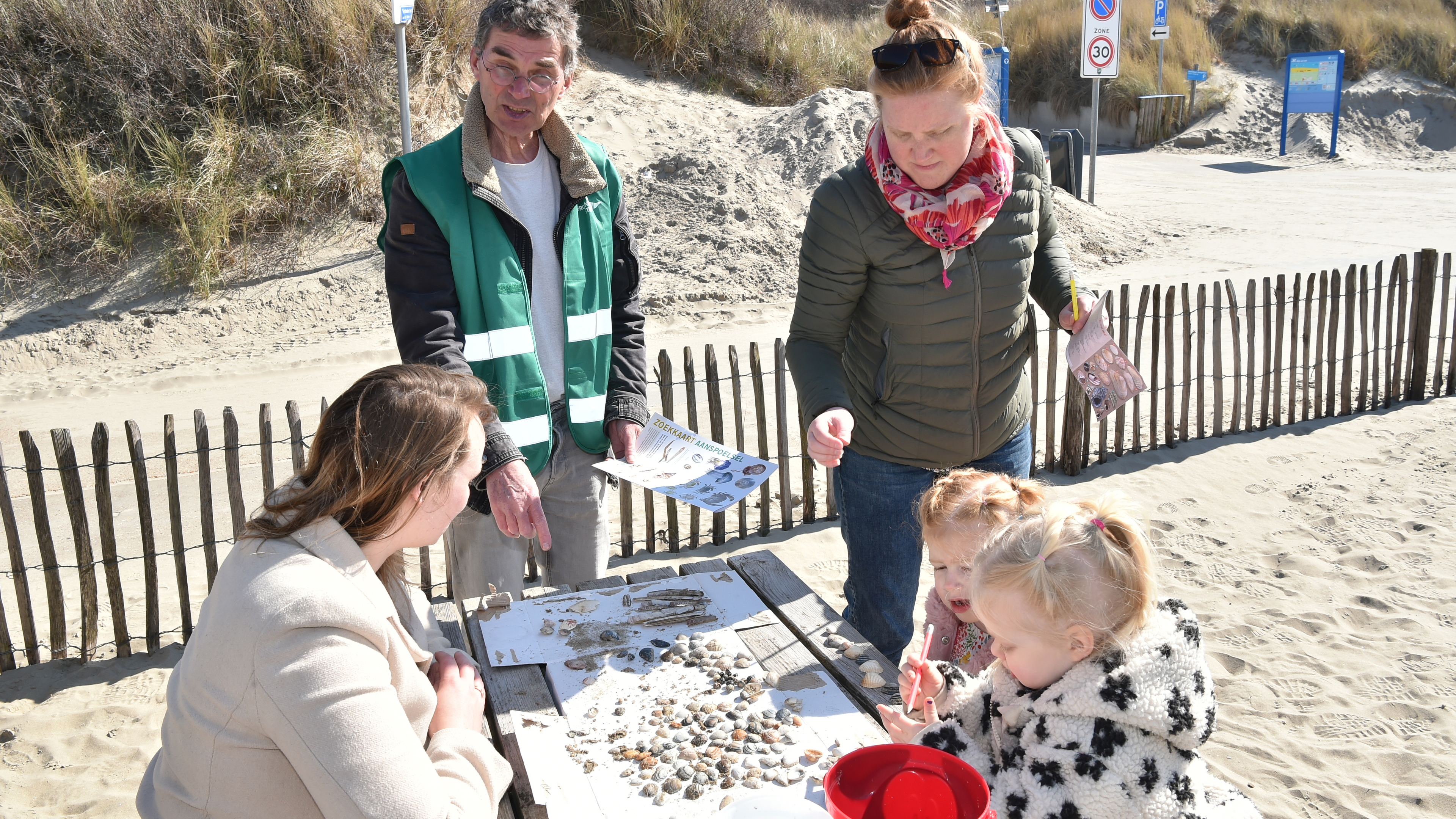 'Some shells have been there for a hundred million years. Bizarre, right?' National Shell Counting Day at Wijk aan Zee beach