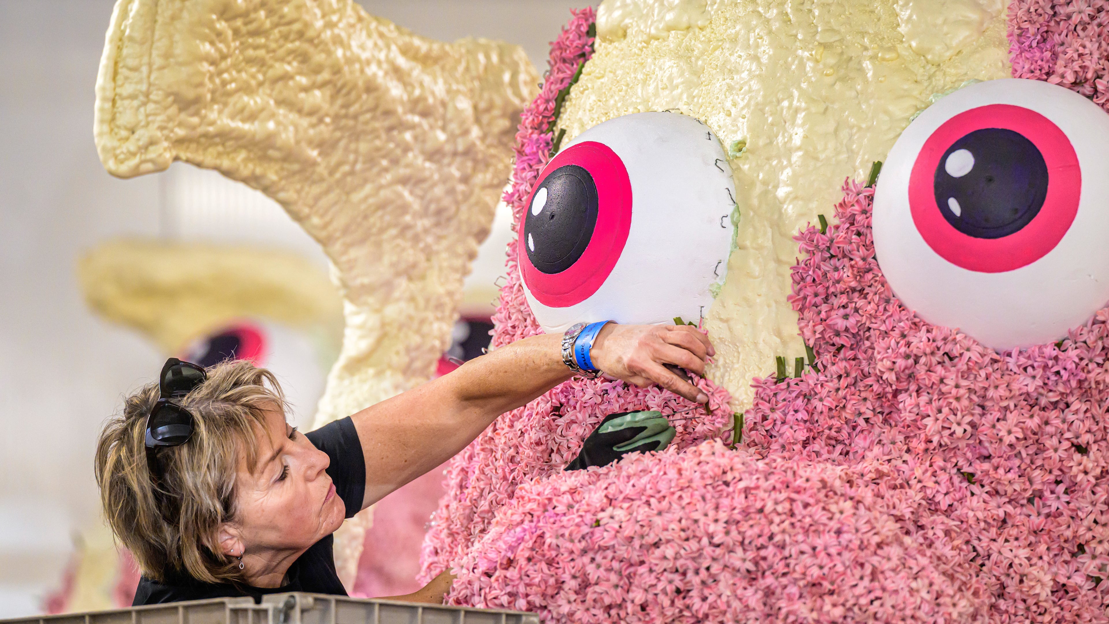 Creating the flower parade in a Noordwijkerhout hall. The setup days are a celebration in themselves