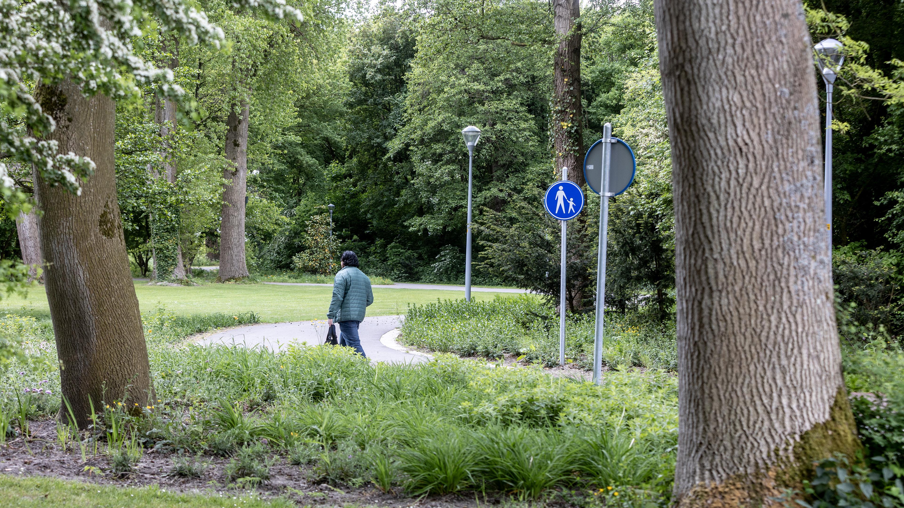 De tweede jeugd van een oud Hoofddorps Stadspark: ’Nee, we waren niet dronken toen we de paden ontwi
