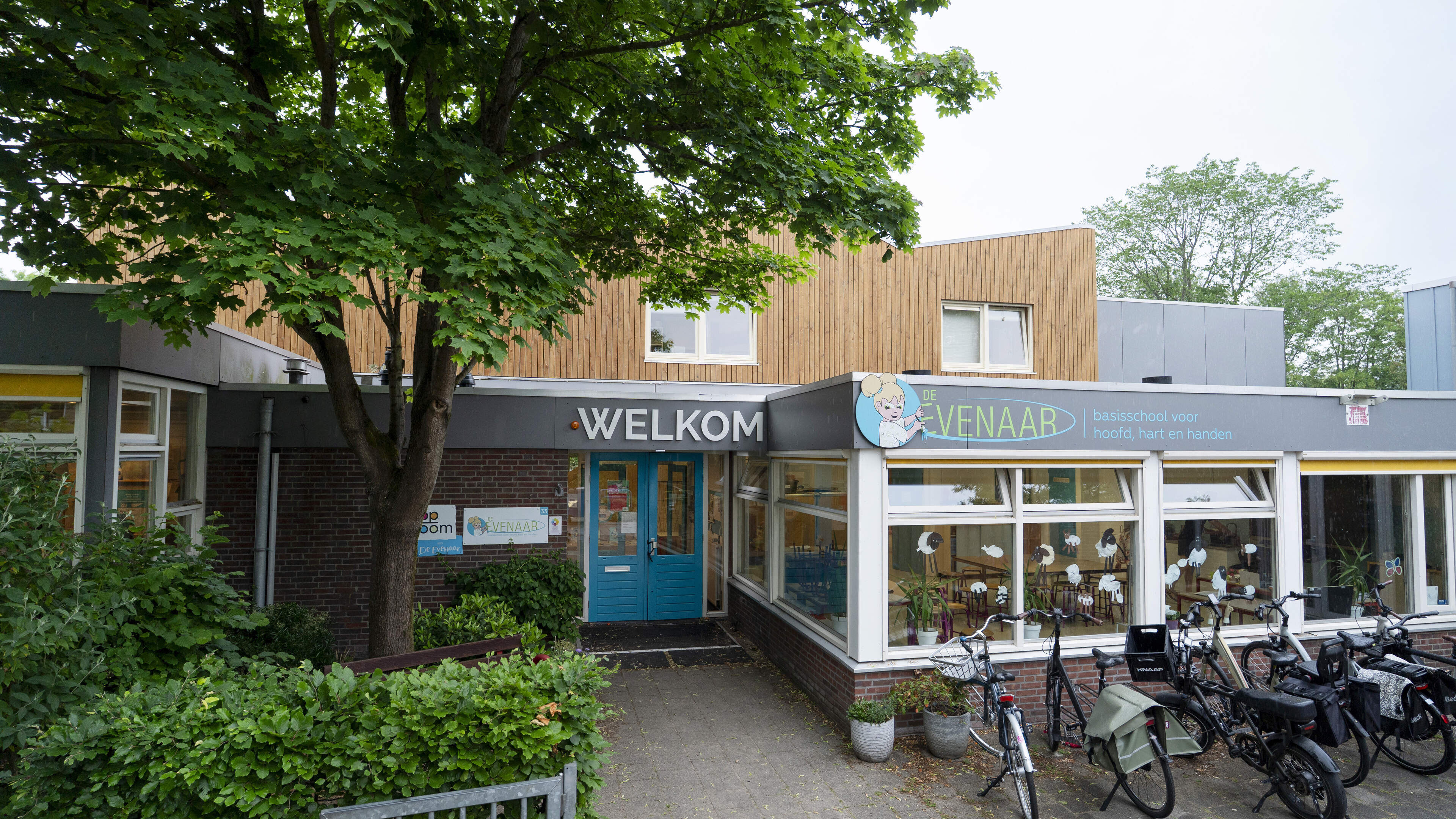 De Evenaar primary school in Heemstede explores merger with neighboring De Ark: ‘Independent survival no longer a realistic scenario’
