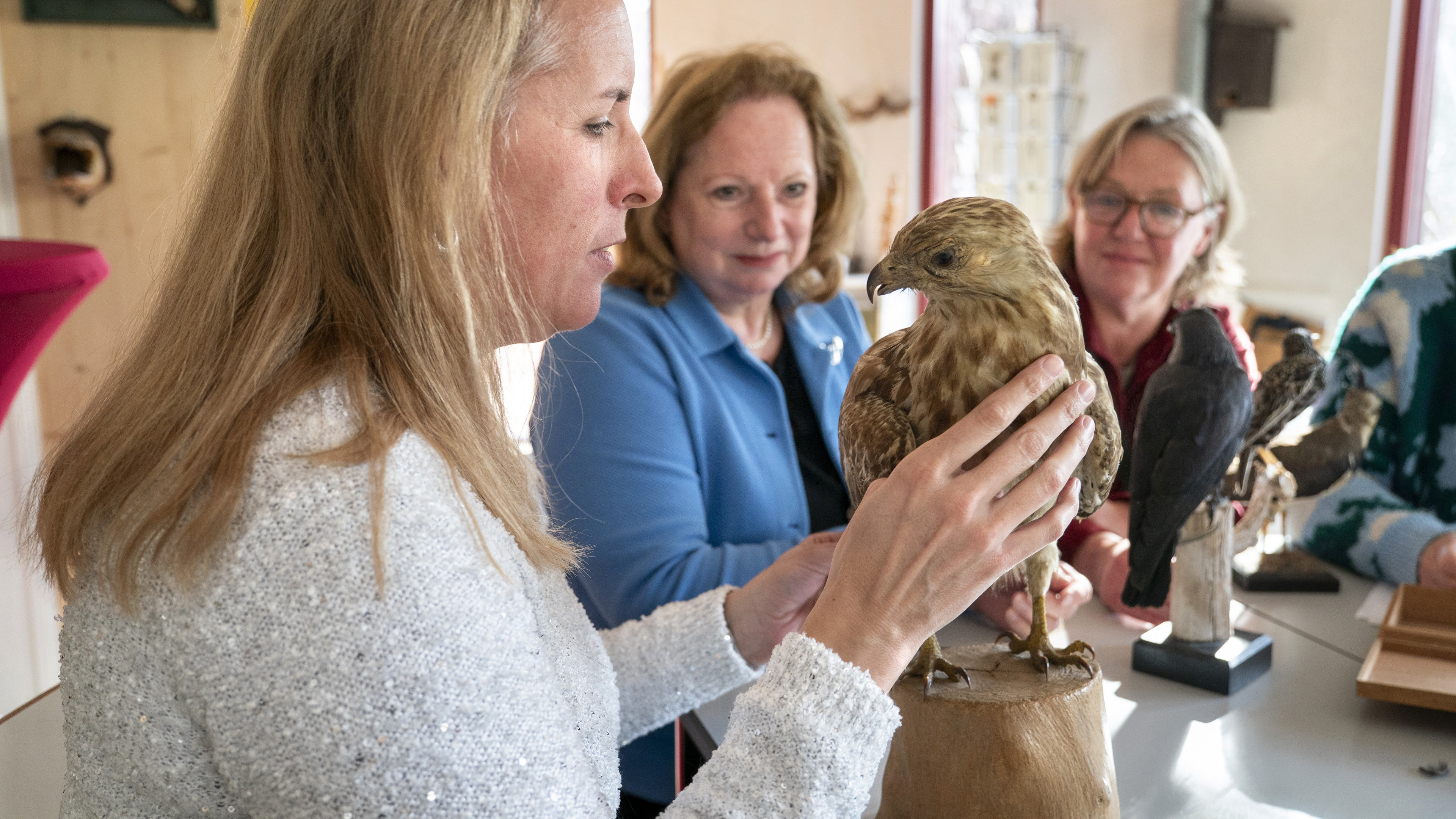 Some participants have only five percent vision. ‘I can see that this starling has spots and a beak’