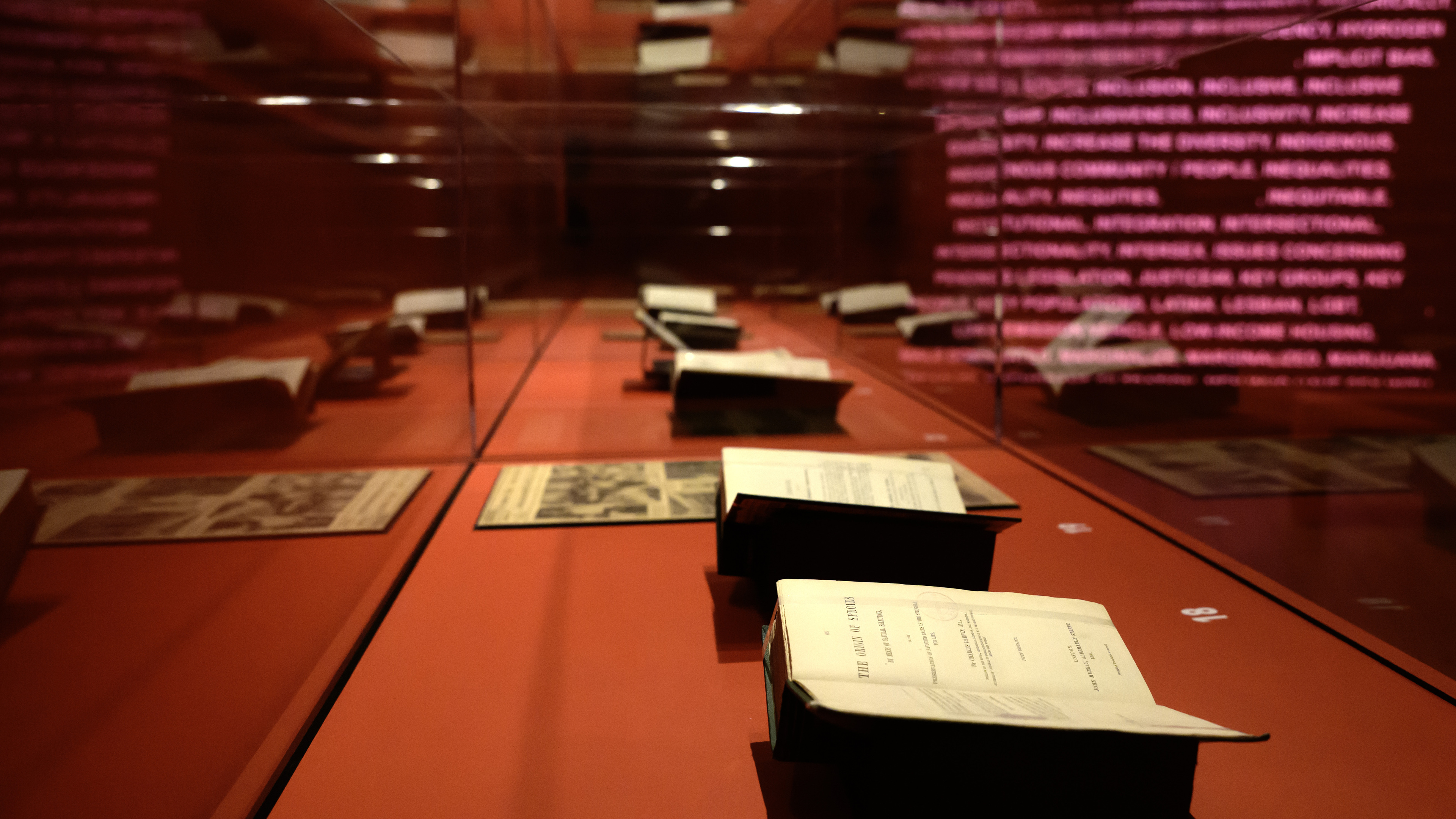 Podcast 'Dangerous Books' complements Teylers Museum exhibition on recurring censorship