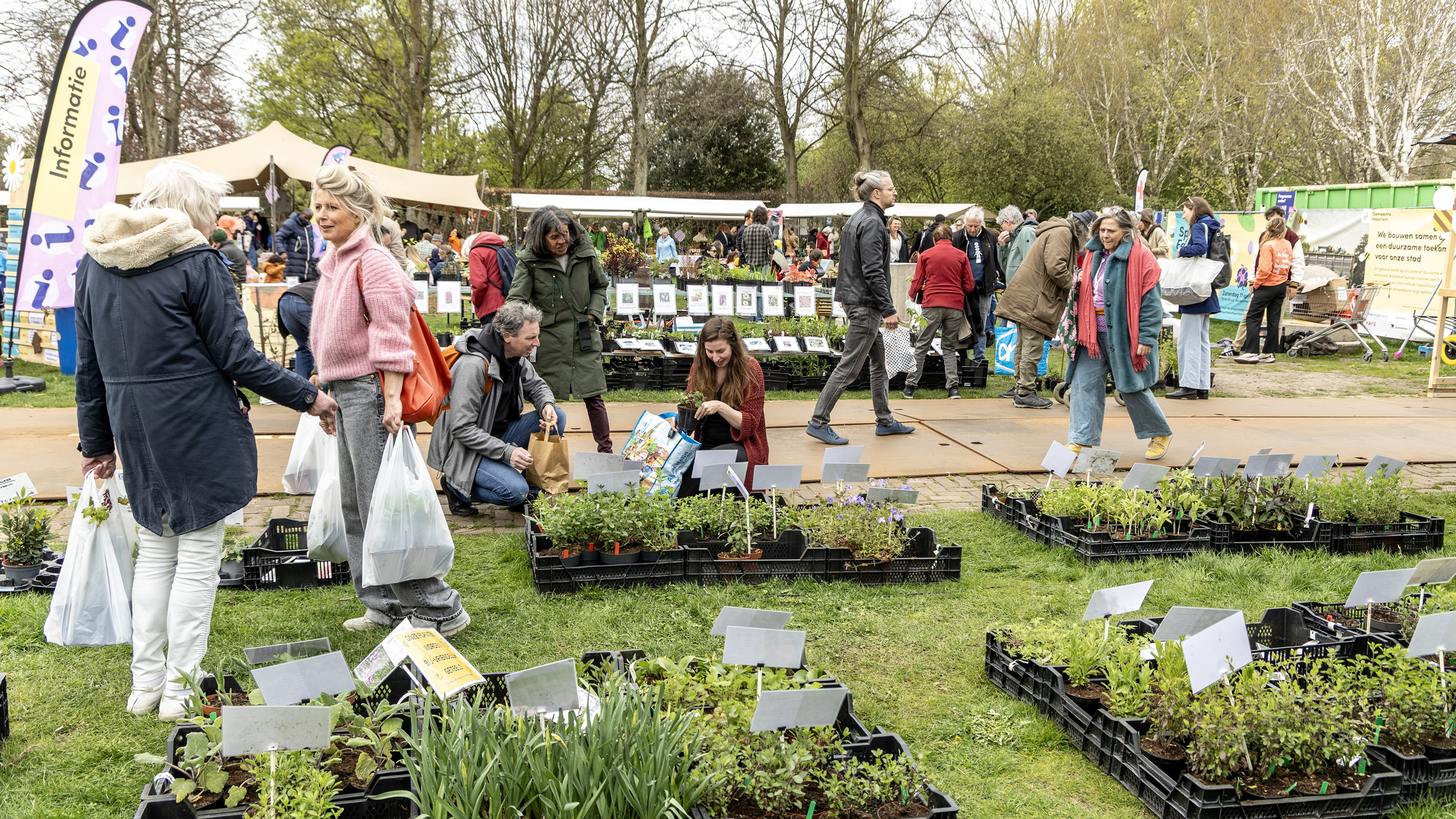 No green thumb but tired of your paved garden? Just start small, say those at the Springer Festival in Haarlem