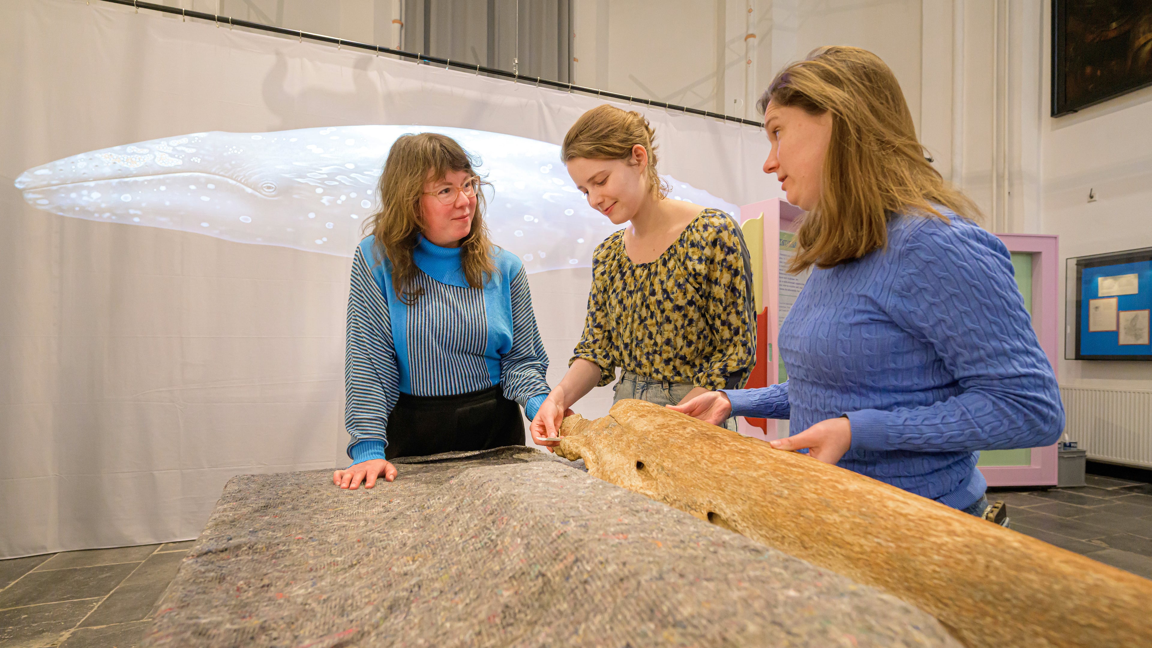 Plants and animals disappear from nature, and then from our memory. Exhibition at North Holland Archives shows nature's resilience