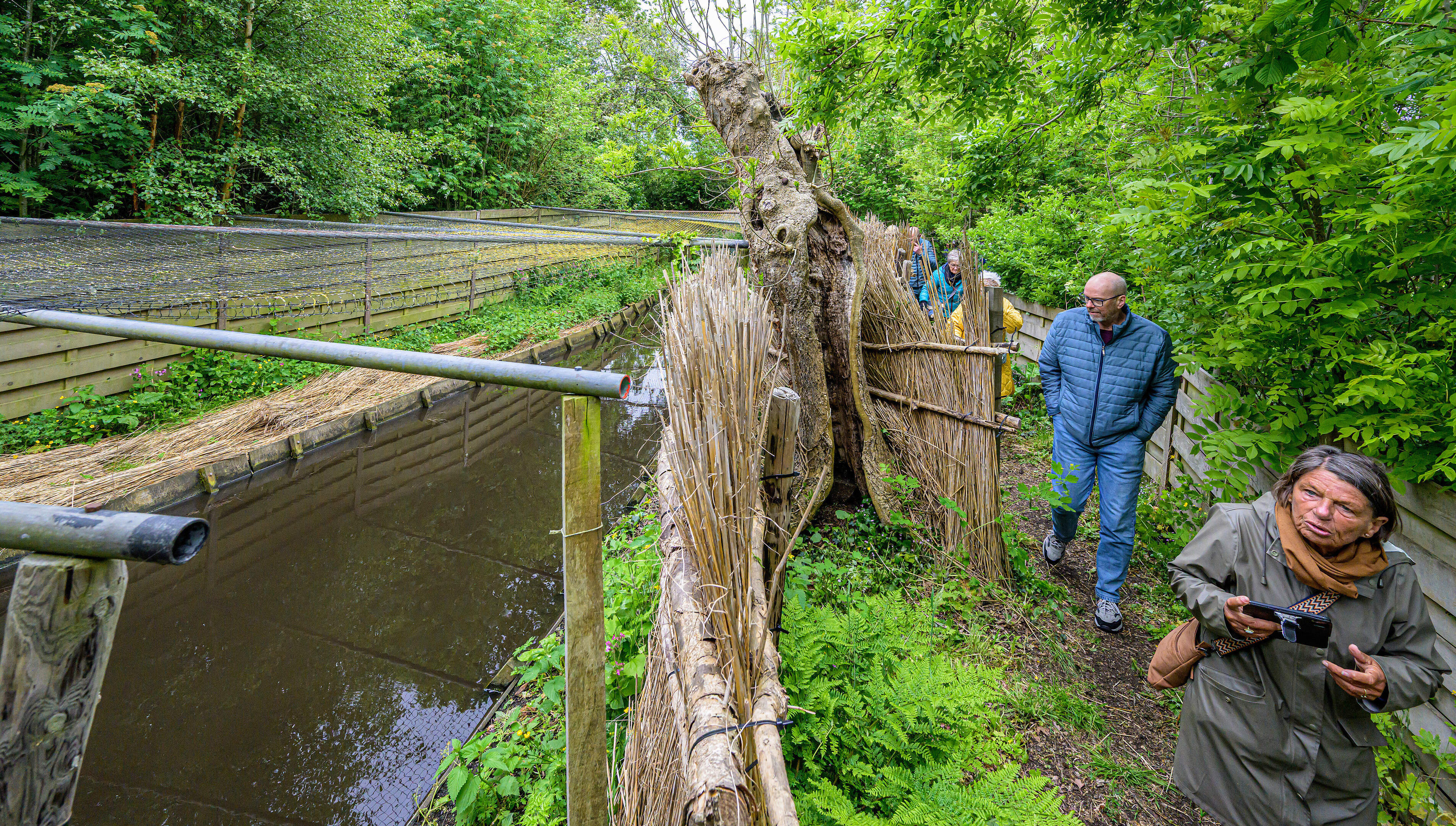325-year-old Stokman Duck Decoy in Vijfhuizen is living family heritage: ‘You can still feel the past here’