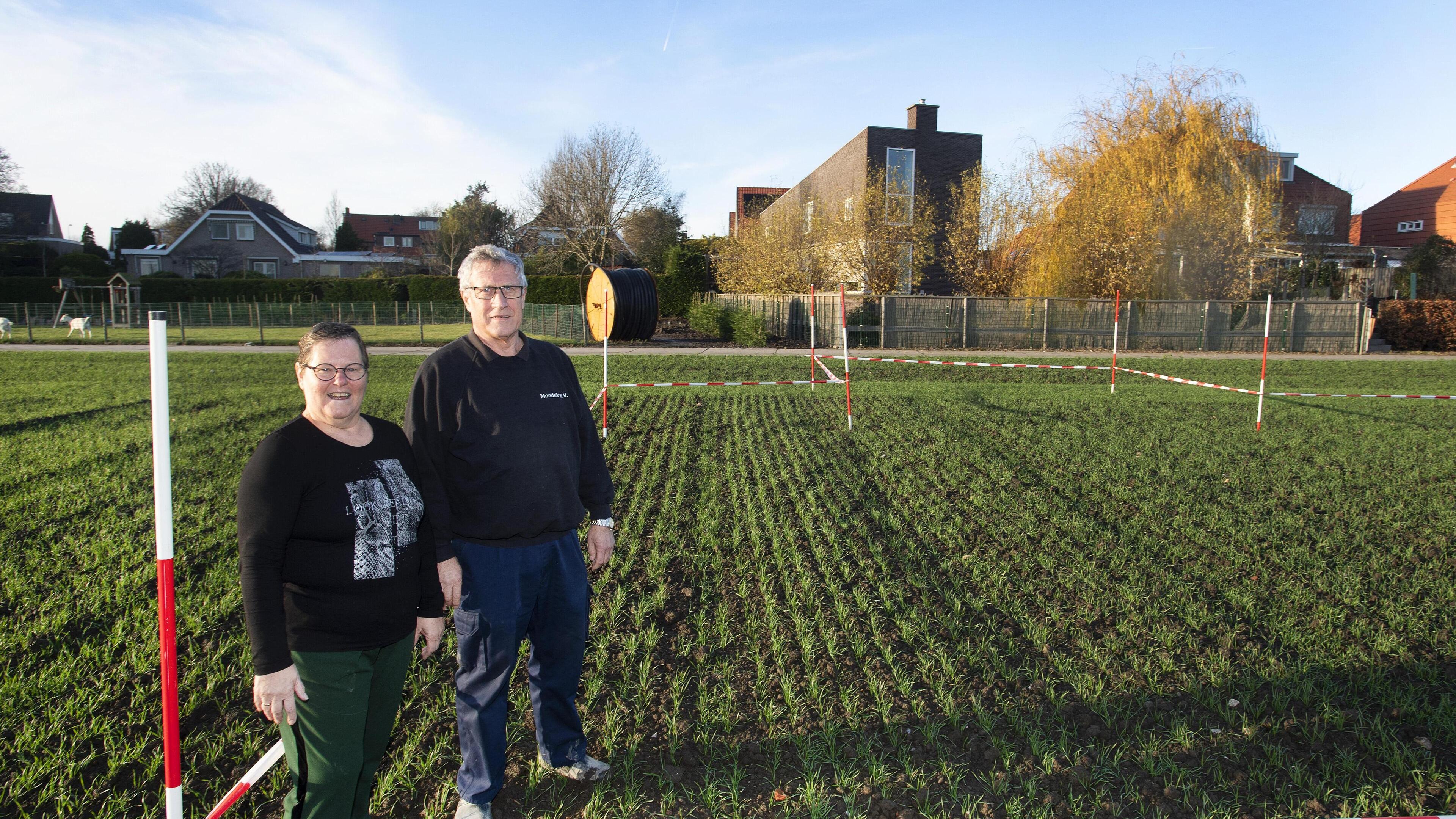 Burenruzie in Beinsdorp: bomen planten om elkaar niet te hoeven zien