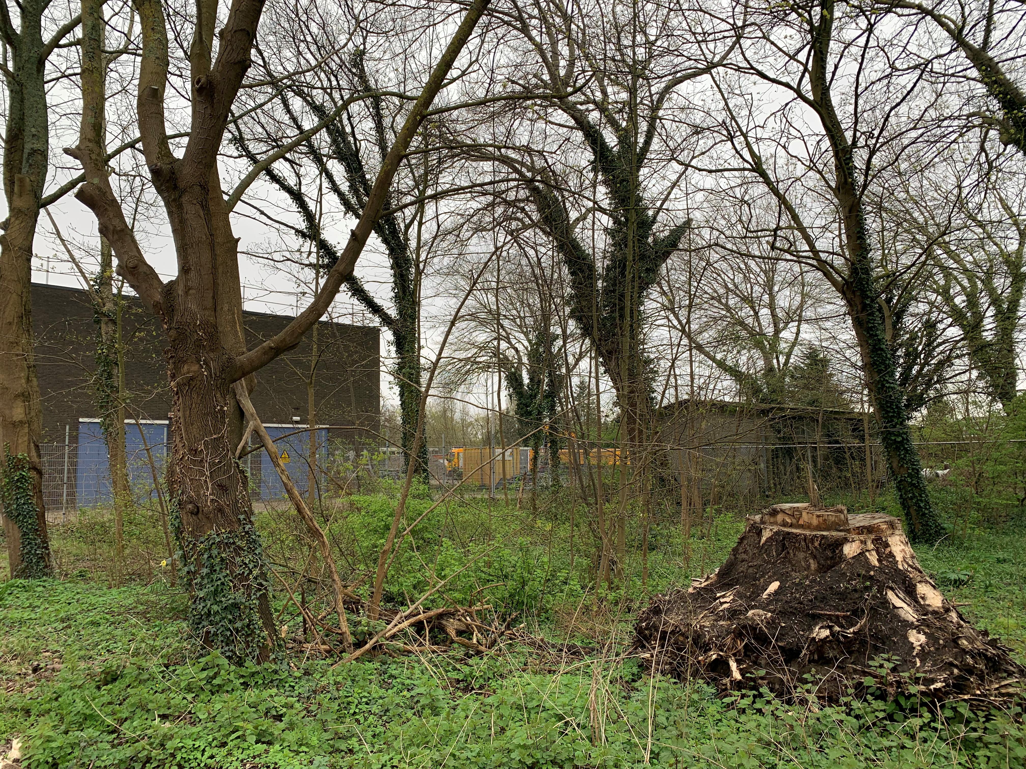 Westelijke Randweg in Overveen opnieuw in beeld als locatie asielzoekers. Wil het COA nog eens naar 