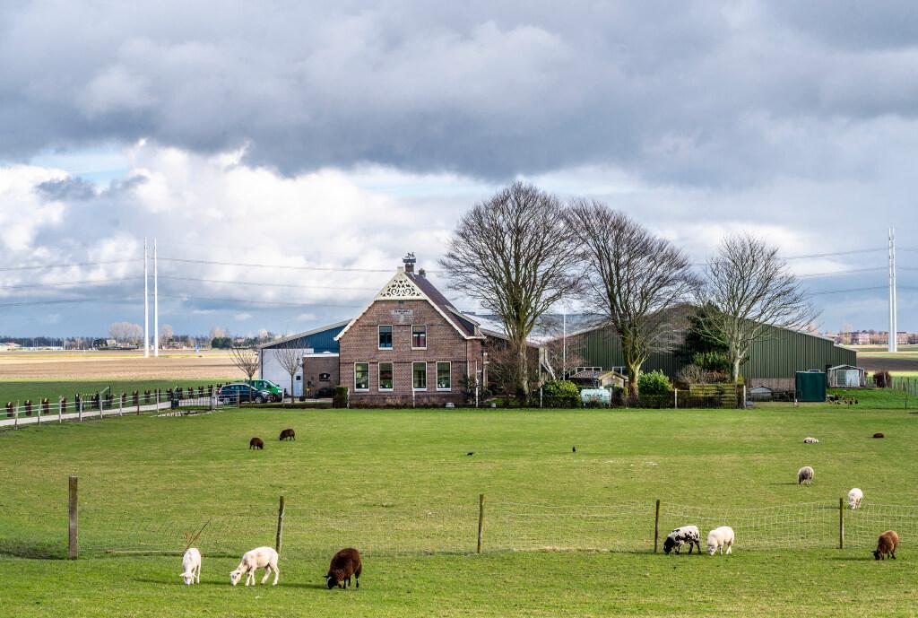 Boerderij bij Beinsdorp toch geen monument van geschiedenis Haarlemmermeer, onderbouwing gemeente de