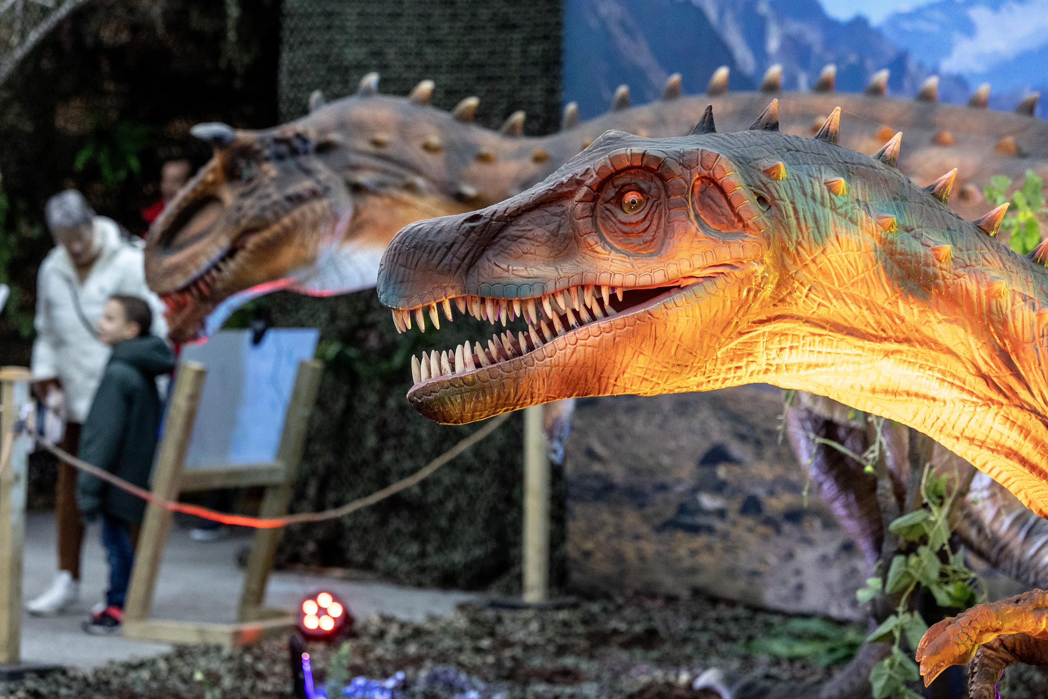 Jurassic Park in de polder brullend van start. ’Ook voor opa is dit een ...