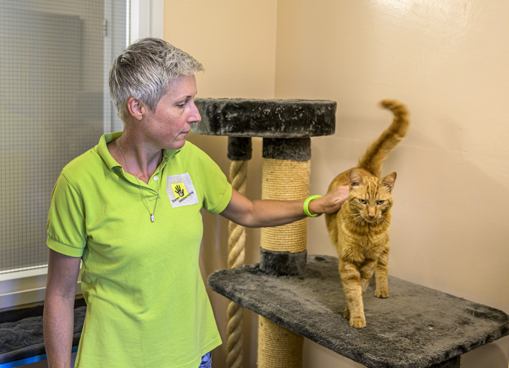 Konijn Eddy ligt wat te soezen tegen een koelelement. Hoe komen dieren
