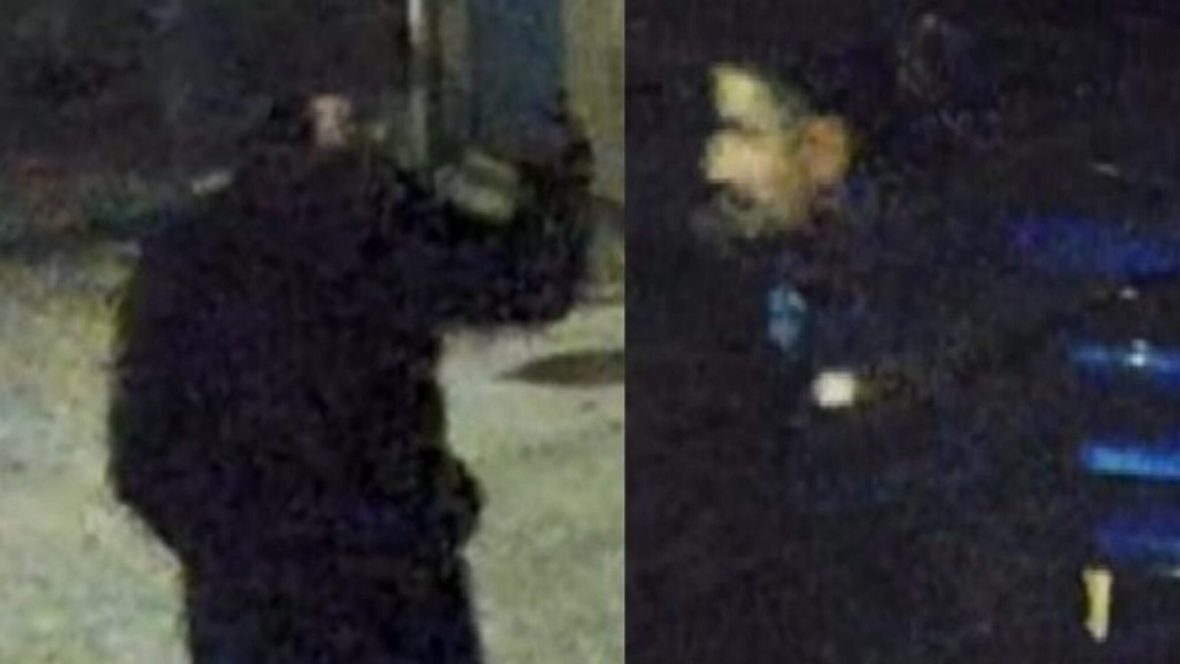 Police seek two suspects for home burglary in Hoofddorp